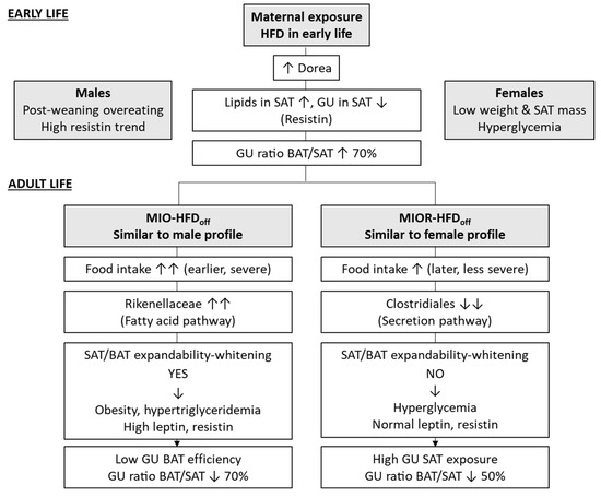 Metabolites 12 00828 g003 550