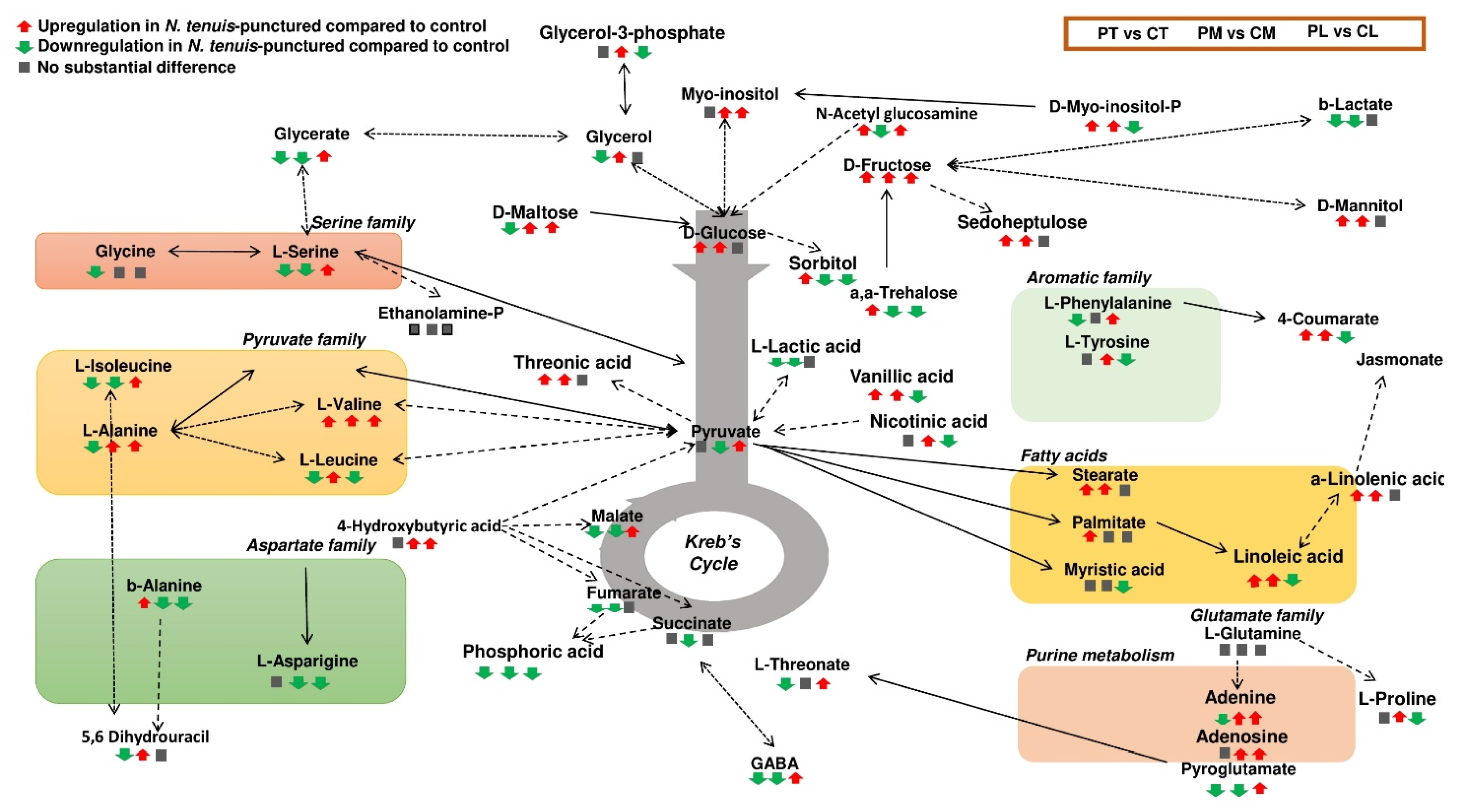Metabolites 12 00838 g005