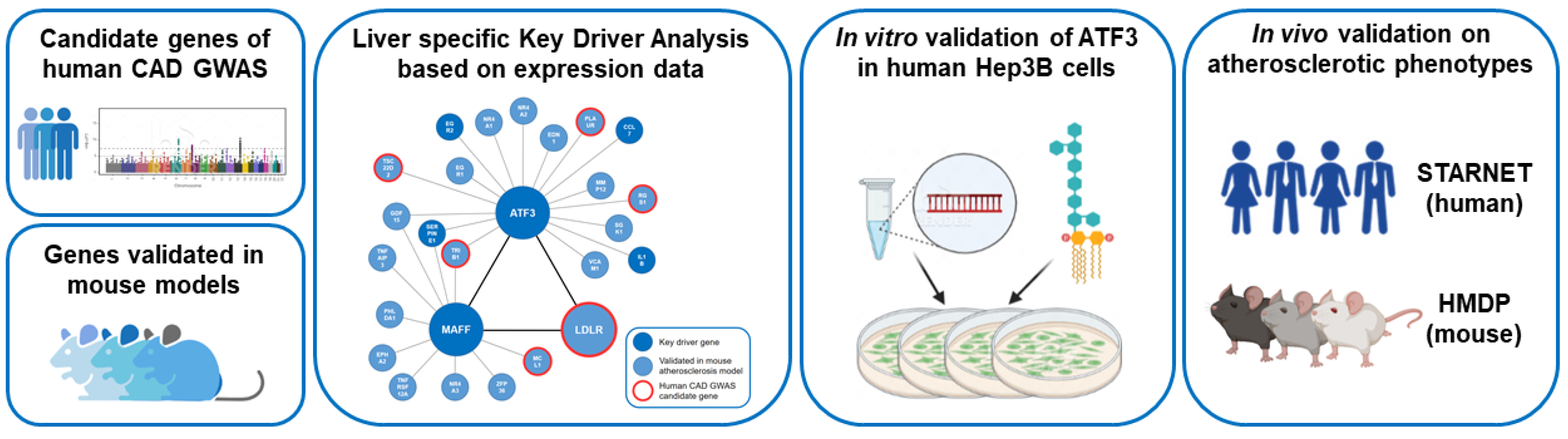 Metabolites 12 00840 g001