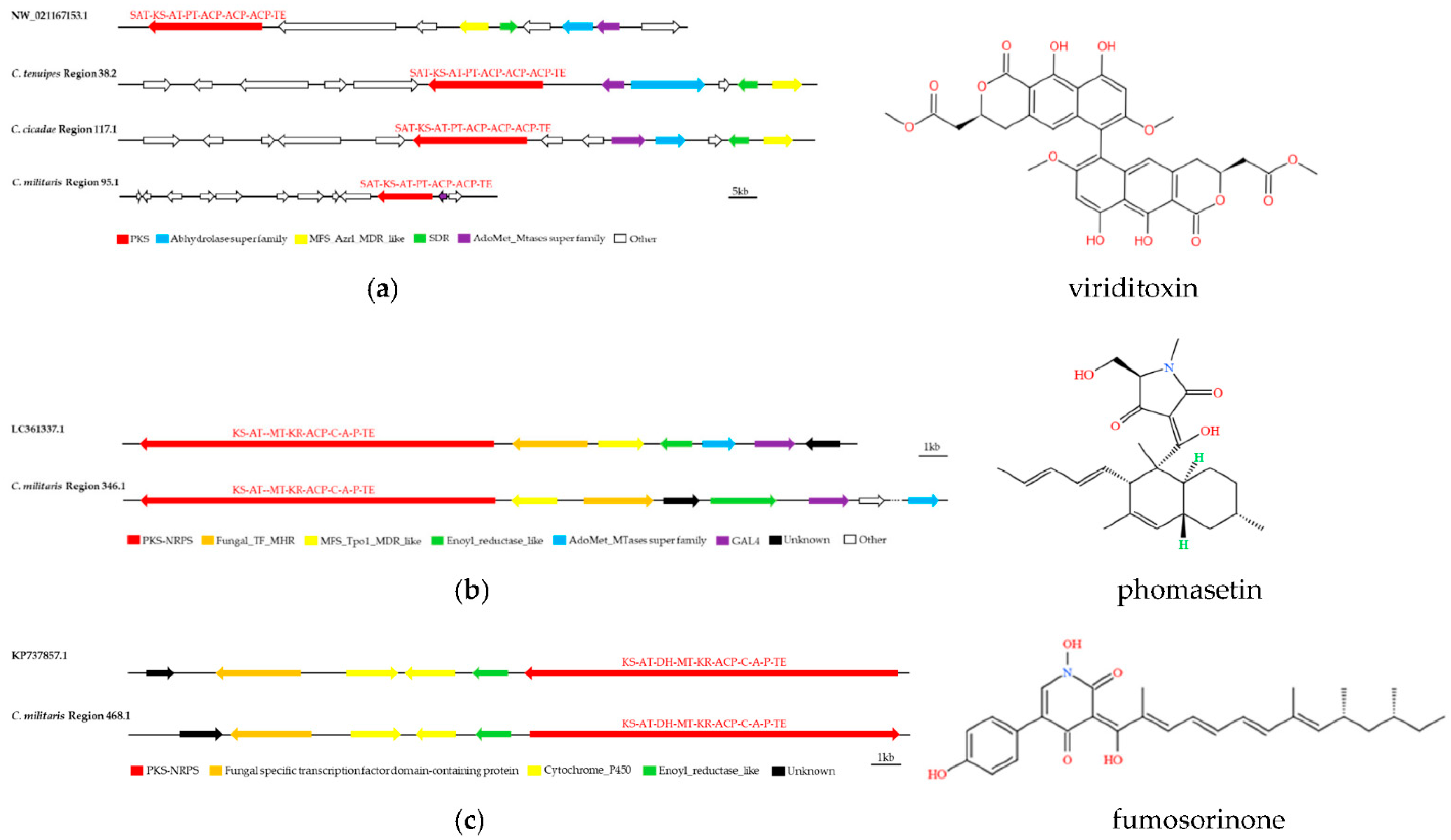 Metabolites 12 00844 g006