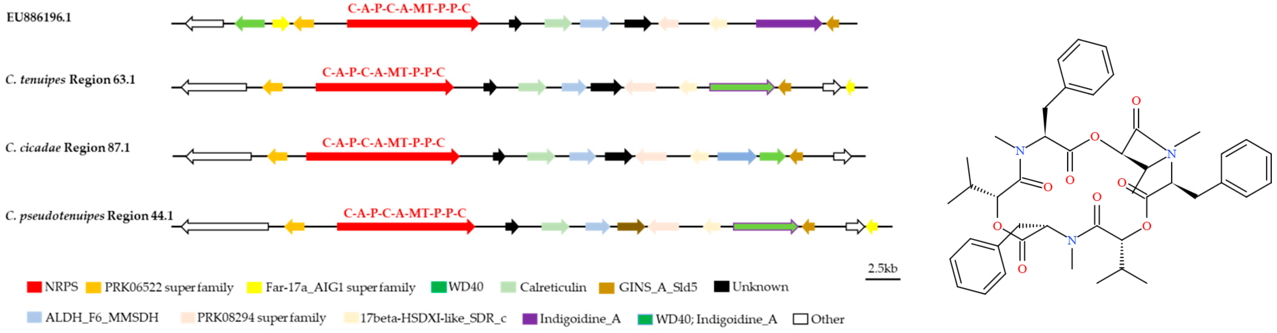 Metabolites 12 00844 g007