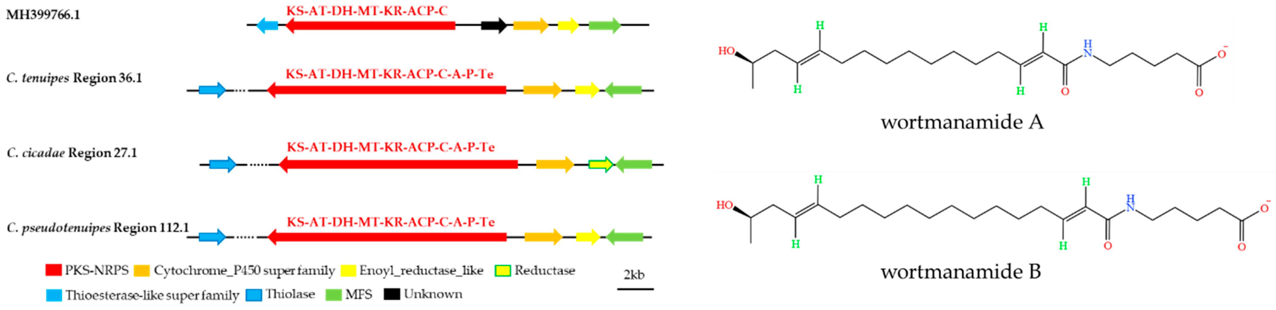 Metabolites 12 00844 g008