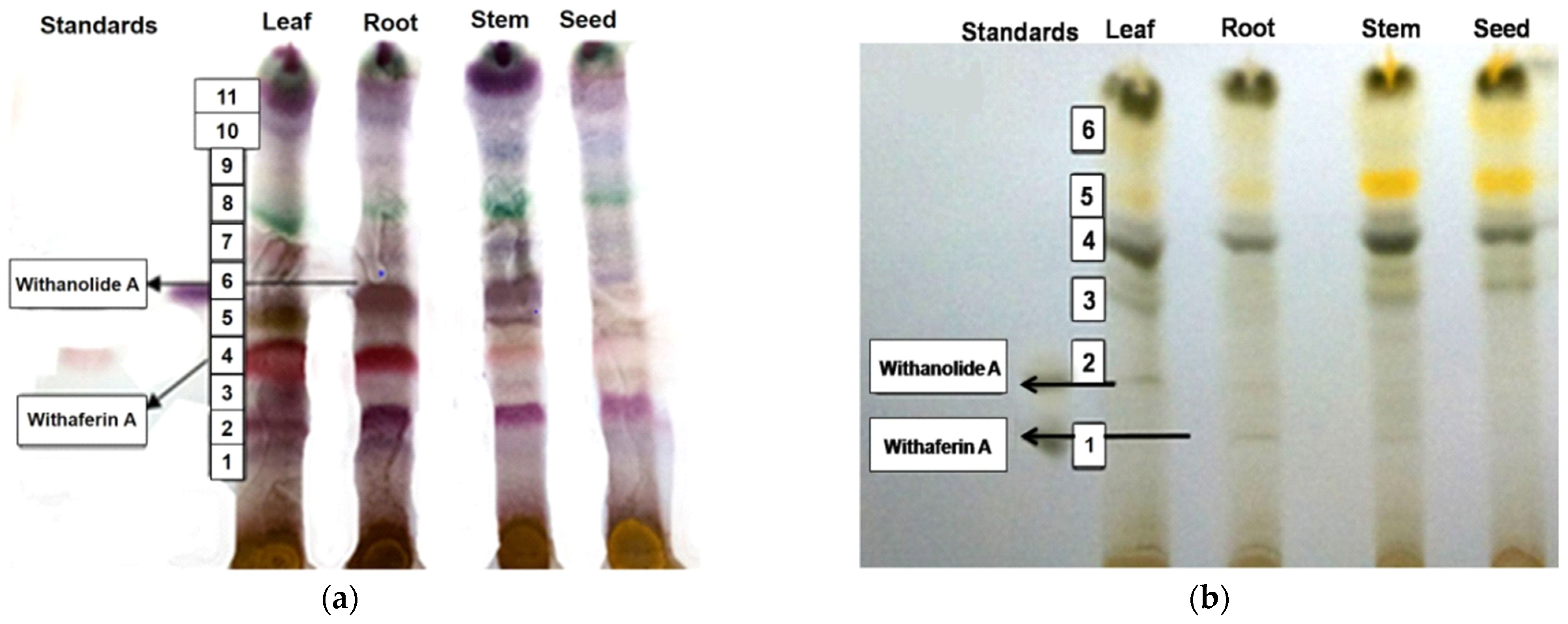 Metabolites 12 00854 g001