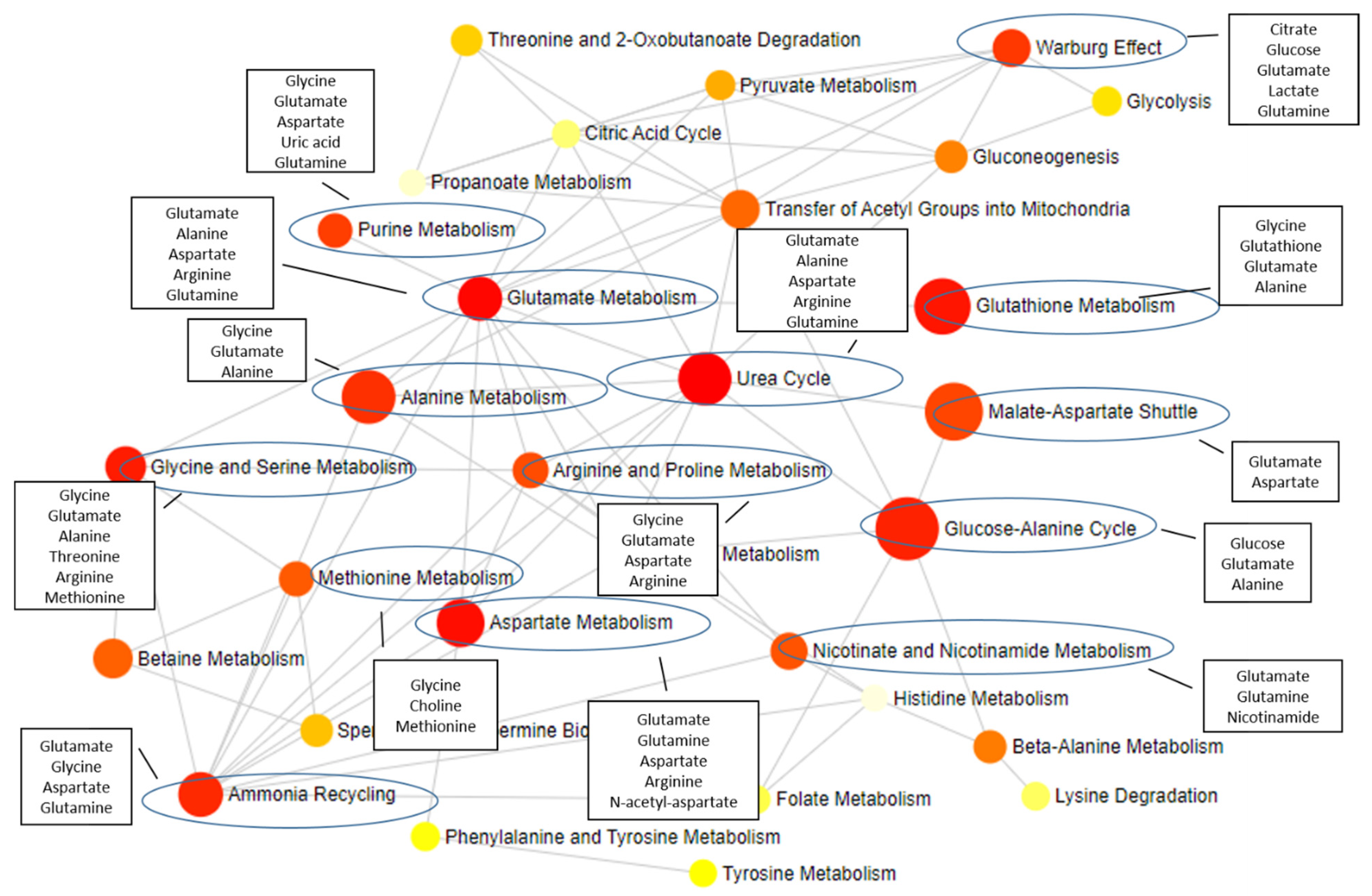 Metabolites 12 00864 g002 Metabolites 12 00864 g002