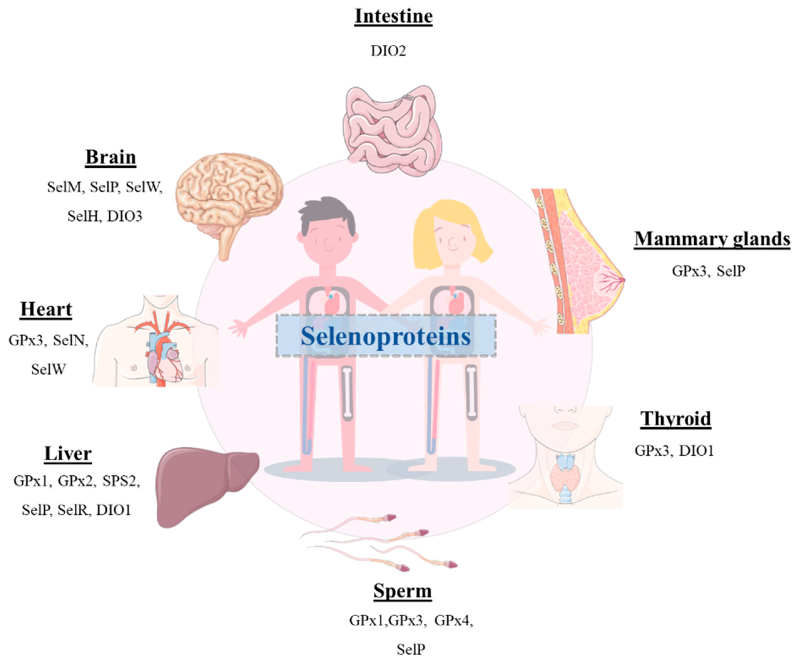Metabolites 12 00874 g001