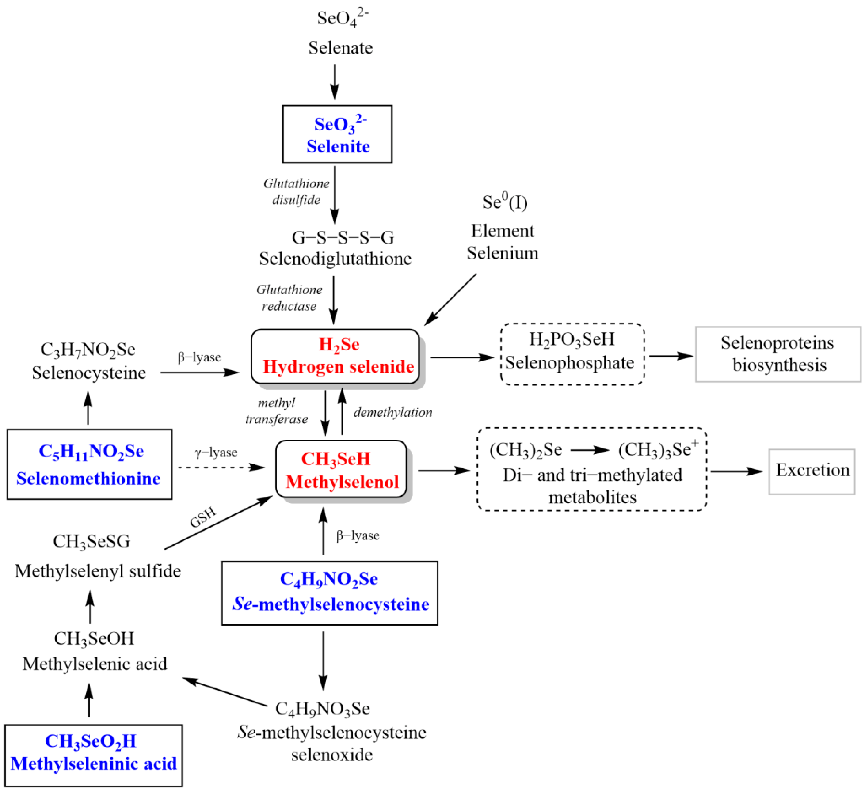 Metabolites 12 00874 g002