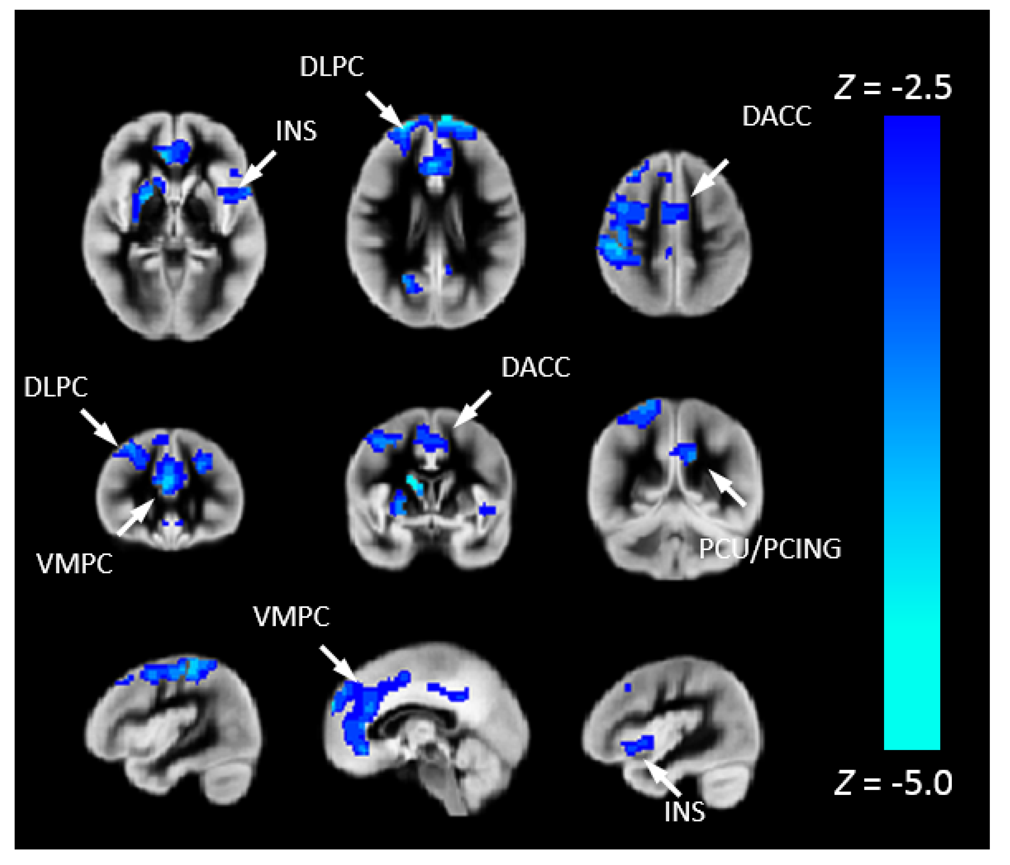Metabolites 12 00882 g005
