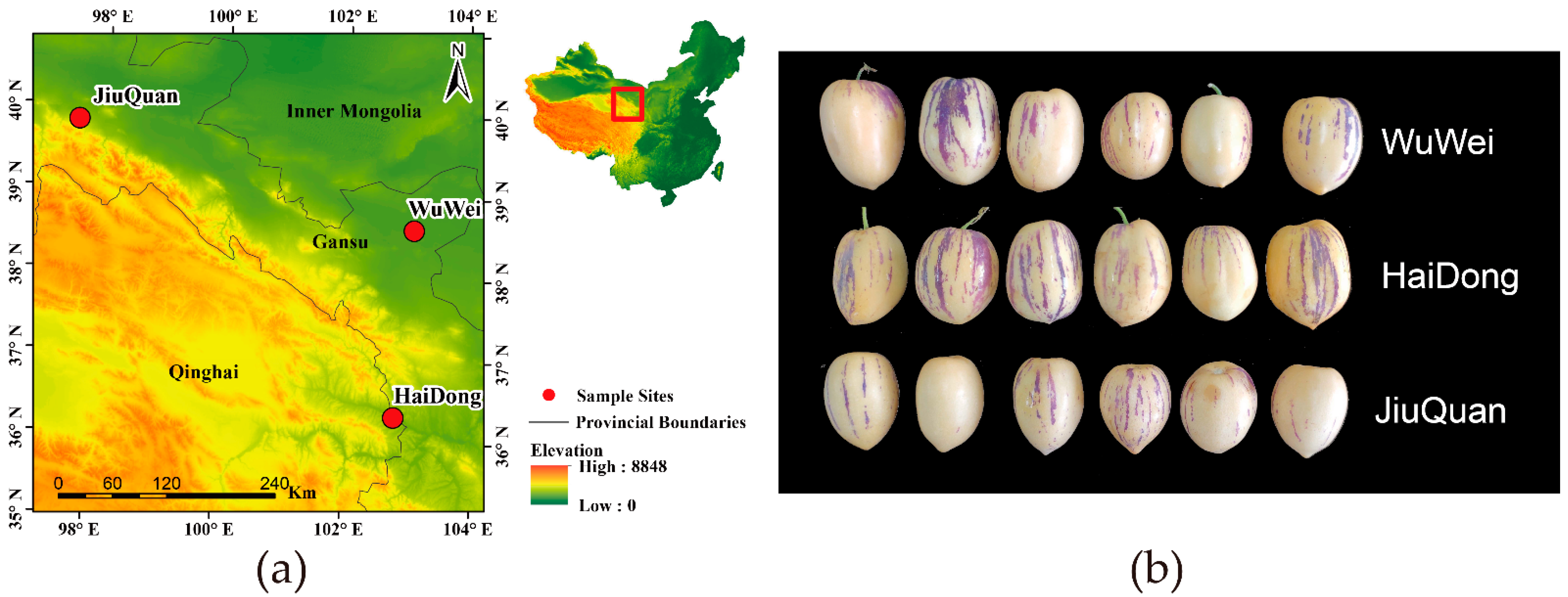 Metabolites 12 00885 g001
