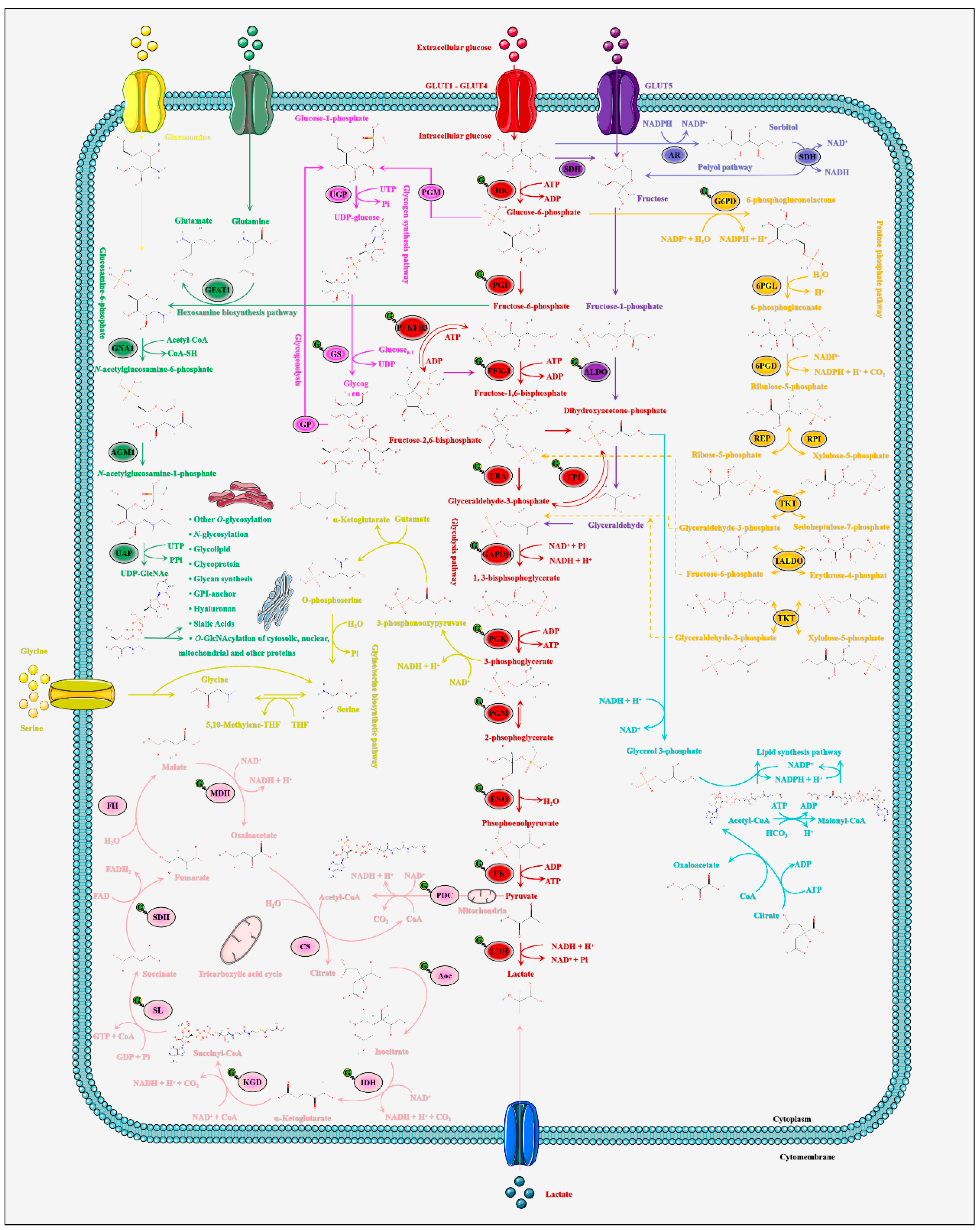 Metabolites 12 00888 g002