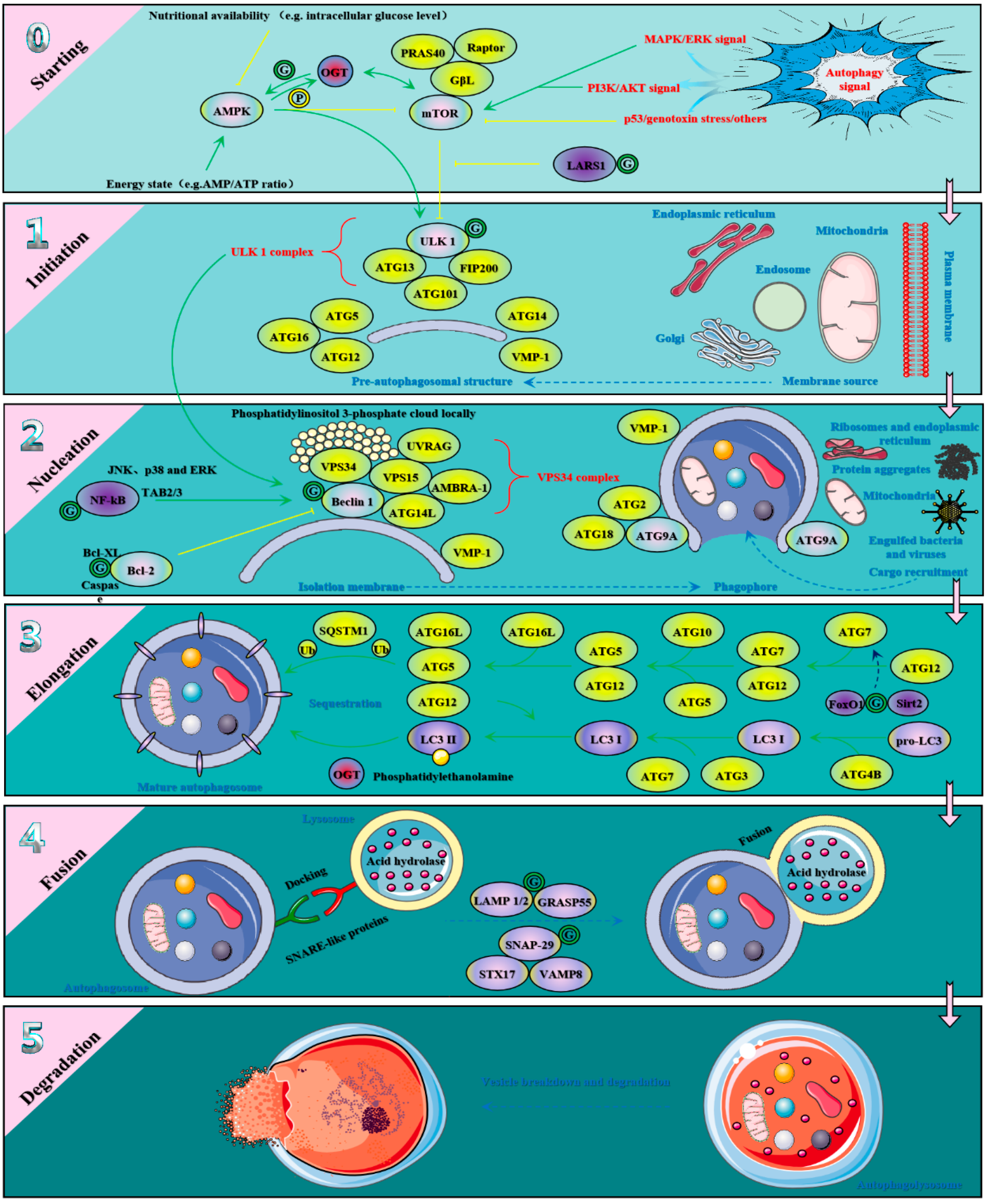 Metabolites 12 00888 g004