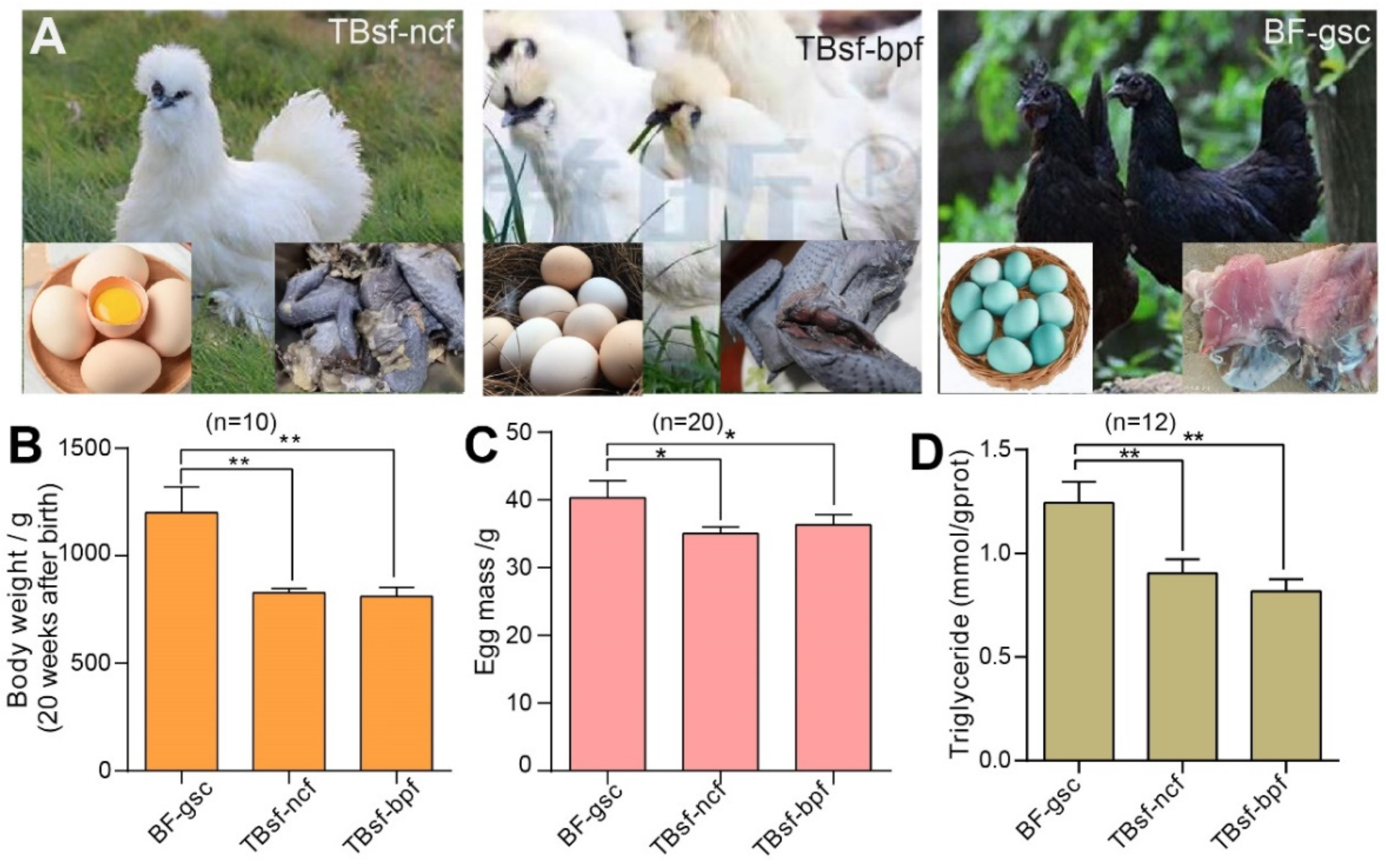 Metabolites 12 00914 g001