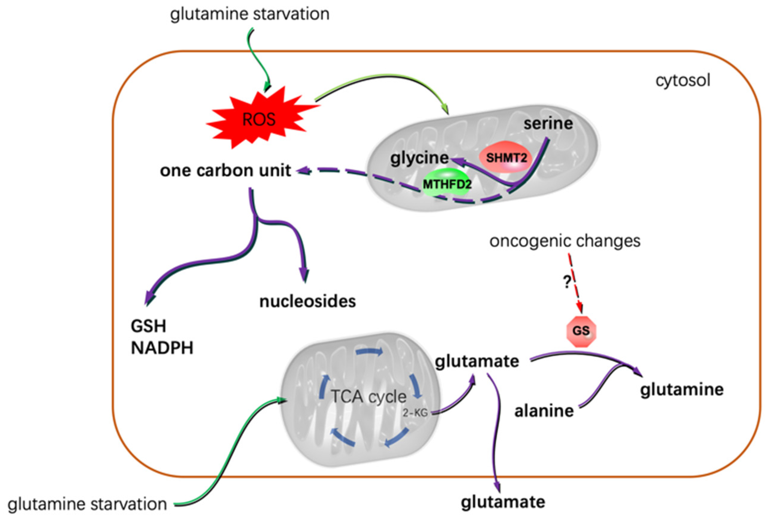 Metabolites 12 00918 g002 Metabolites 12 00918 g002