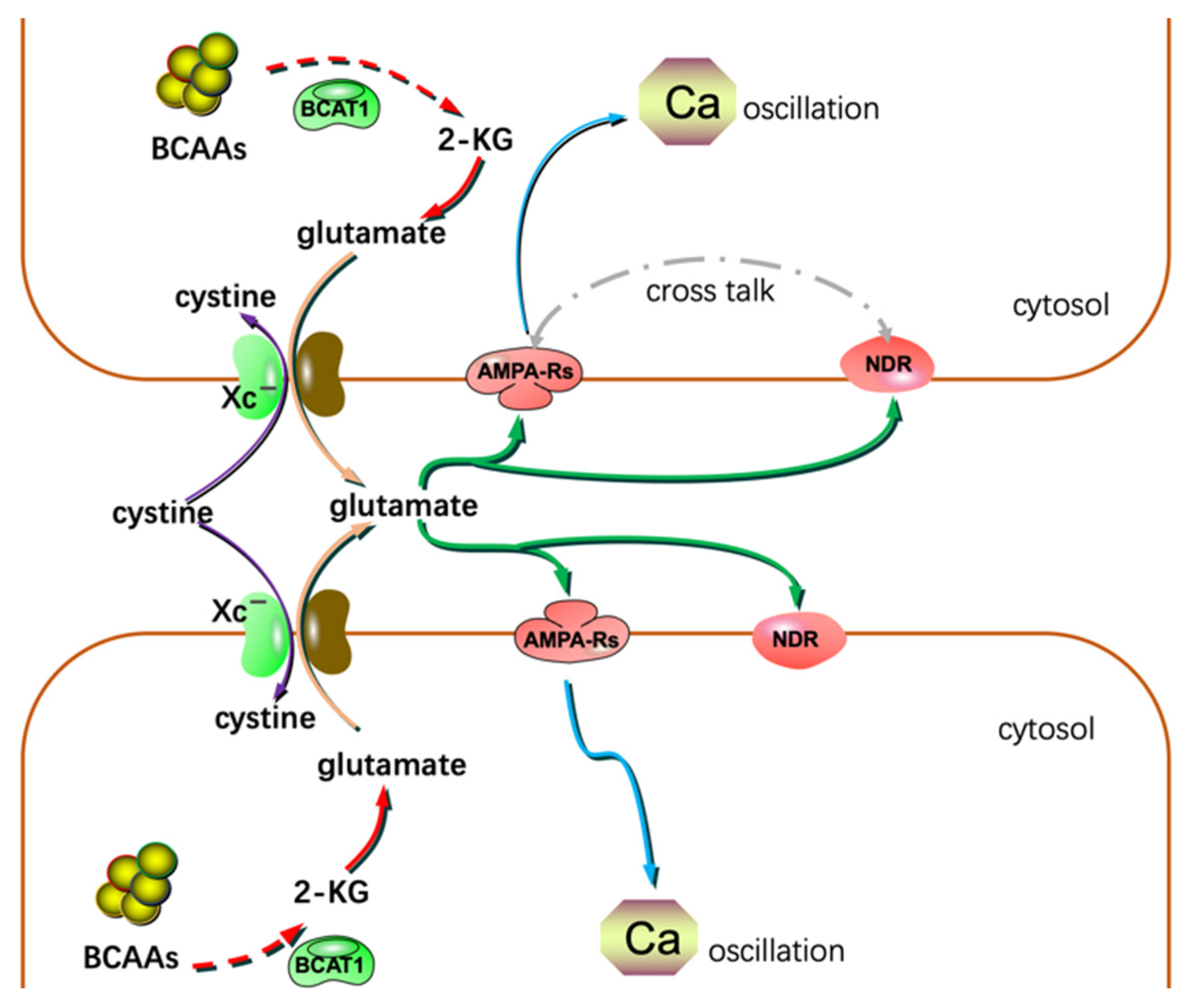 Metabolites 12 00918 g003 Metabolites 12 00918 g003
