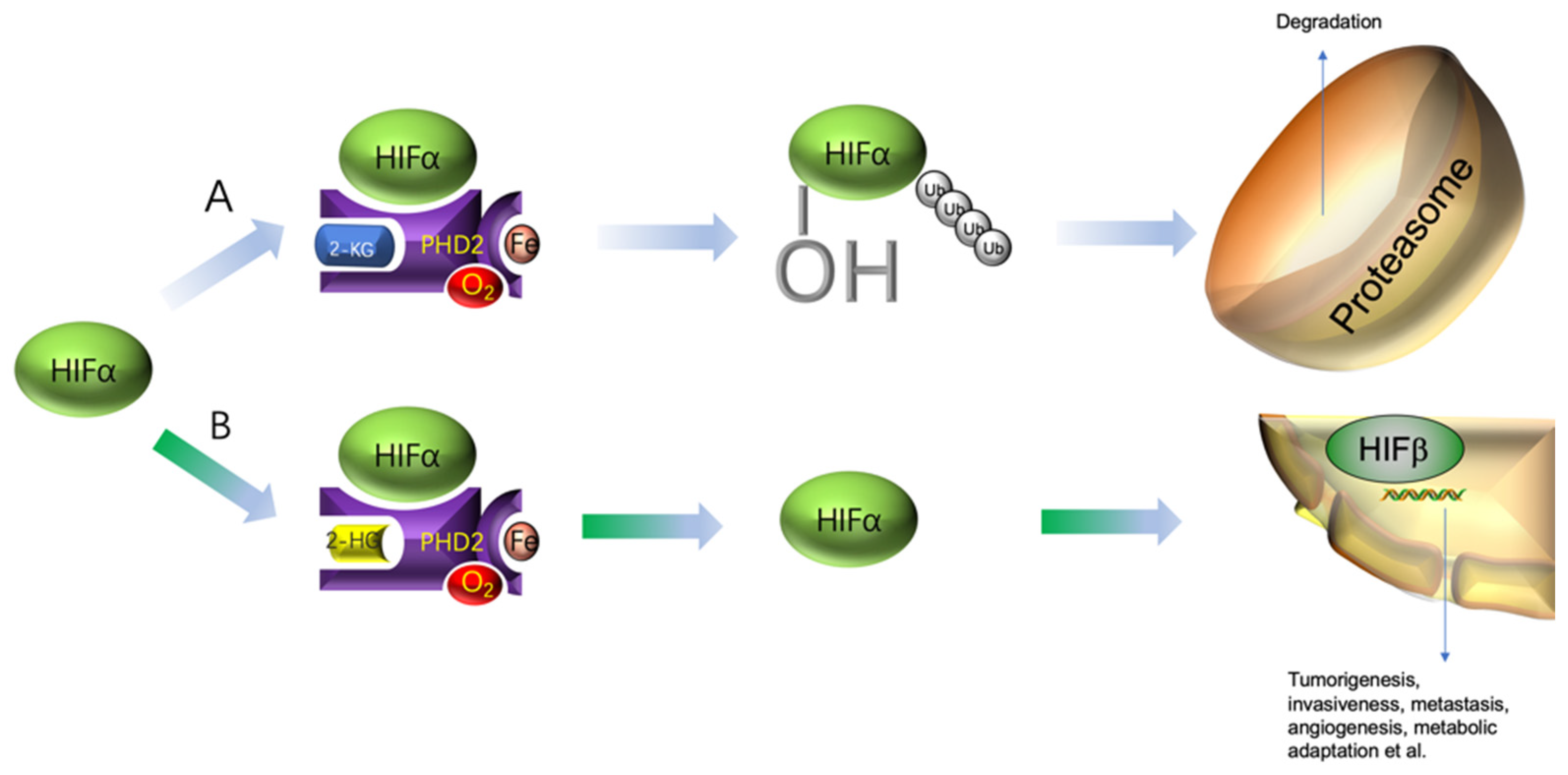 Metabolites 12 00918 g004 Metabolites 12 00918 g004