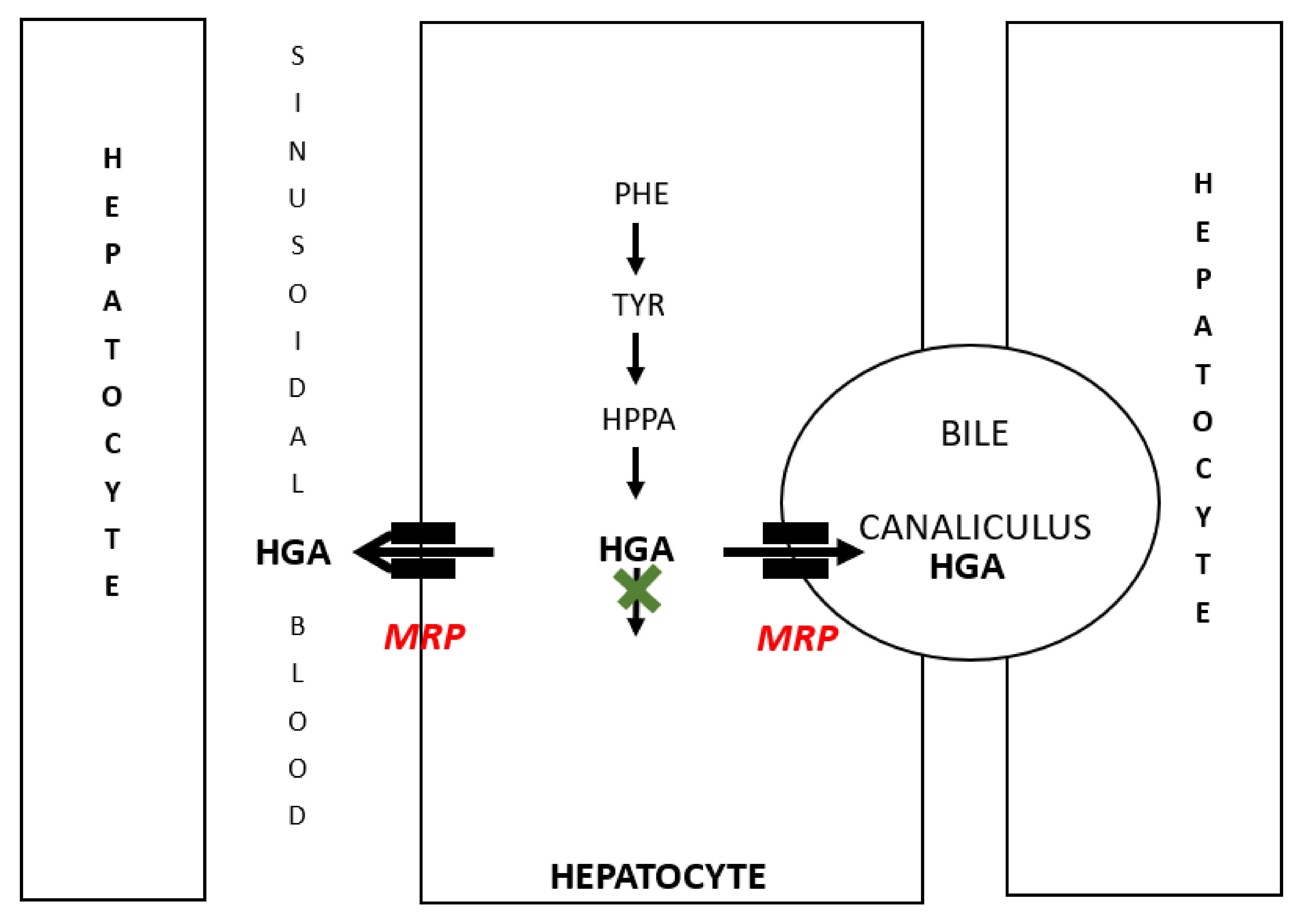 Metabolites 12 00920 g003