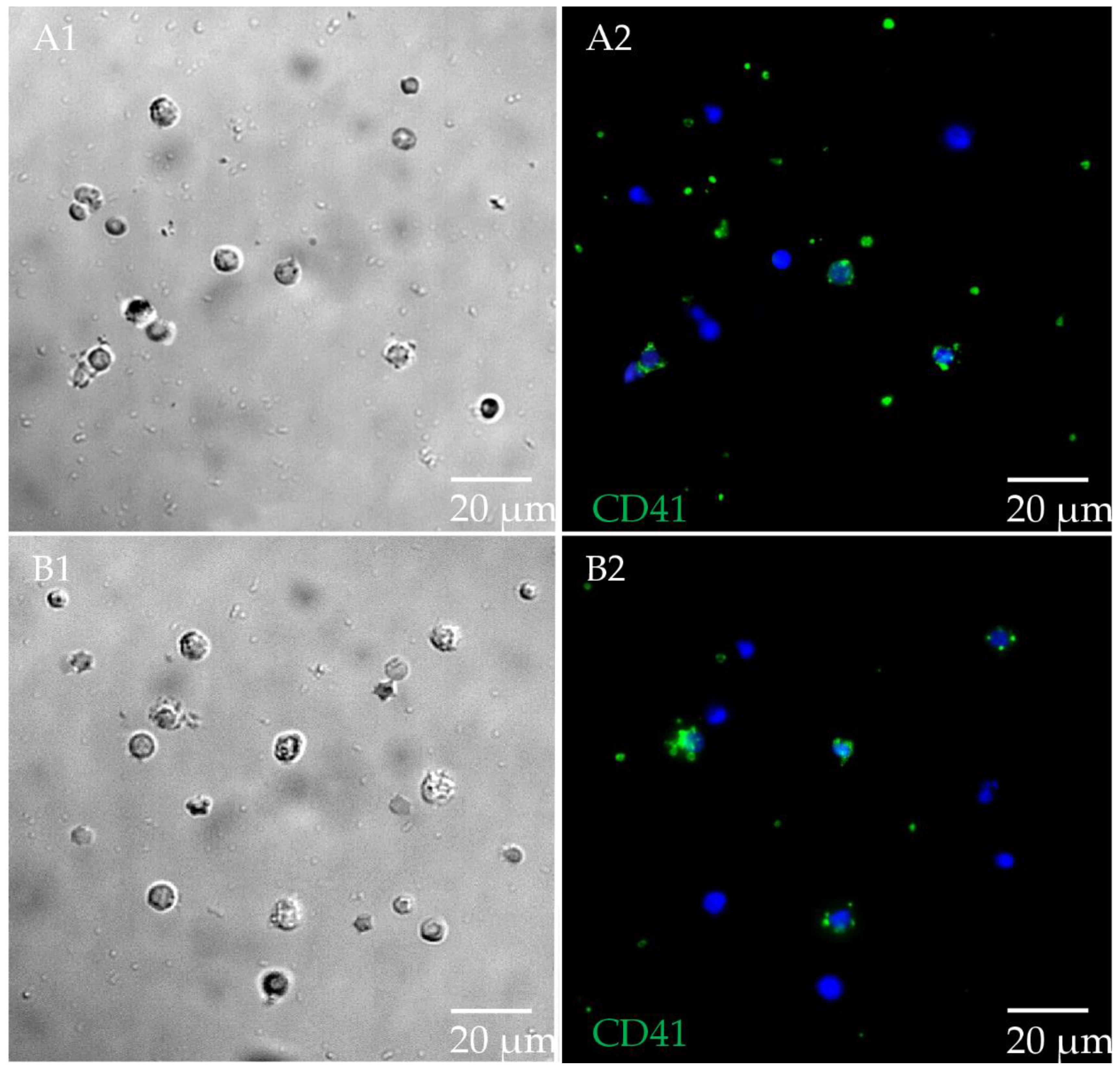 Metabolites 12 00924 g003
