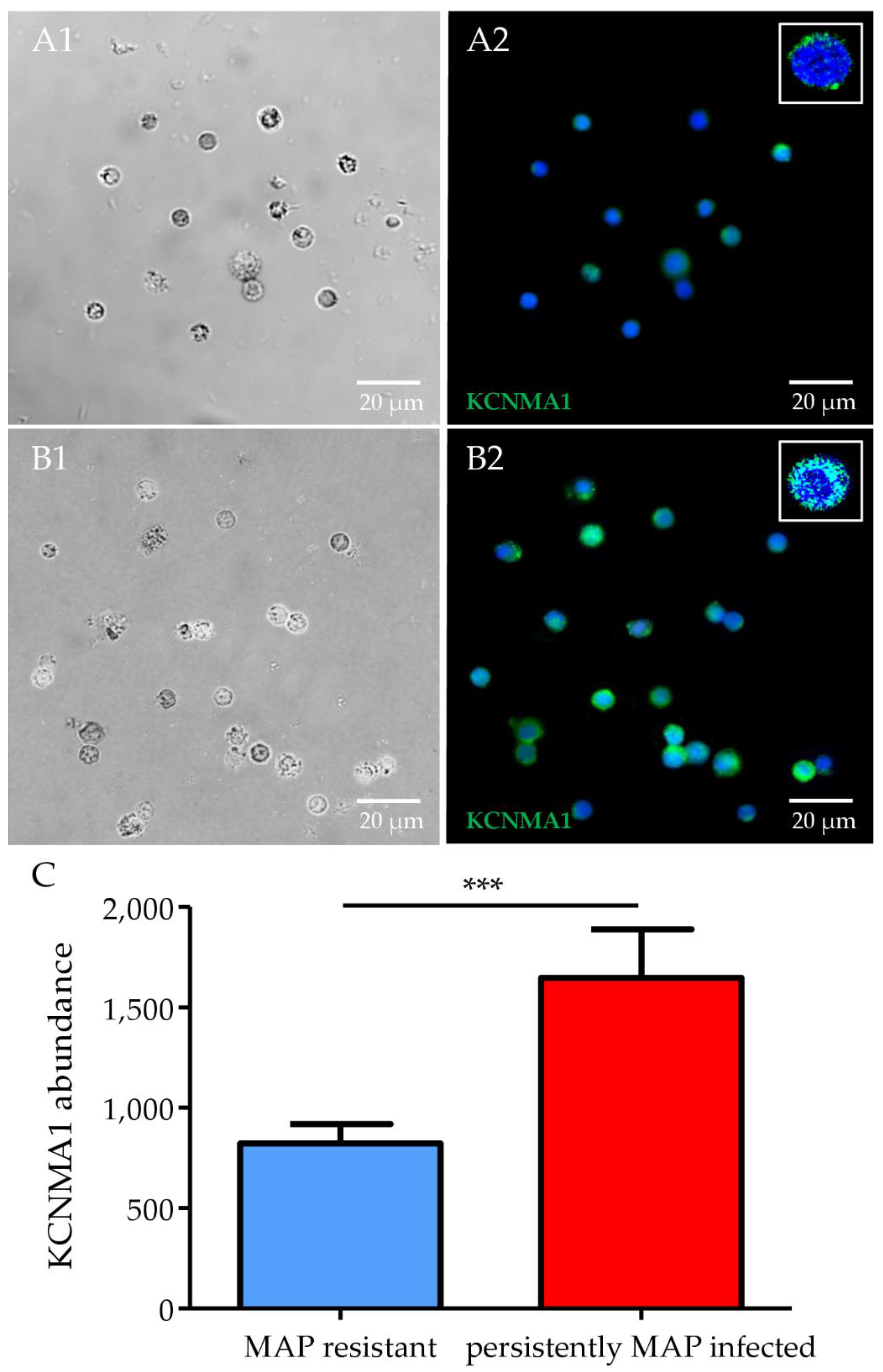 Metabolites 12 00924 g004