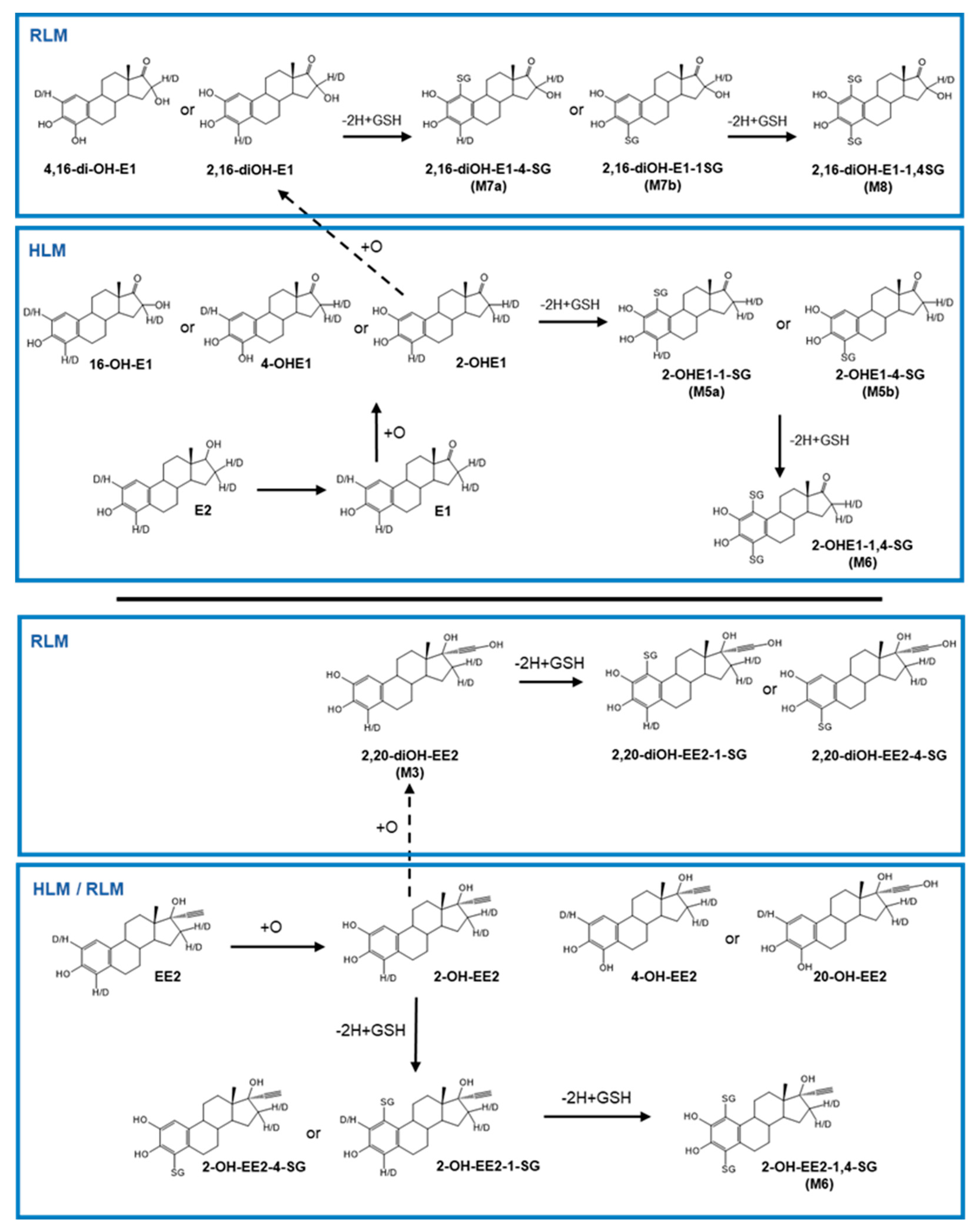 Metabolites 12 00931 g005