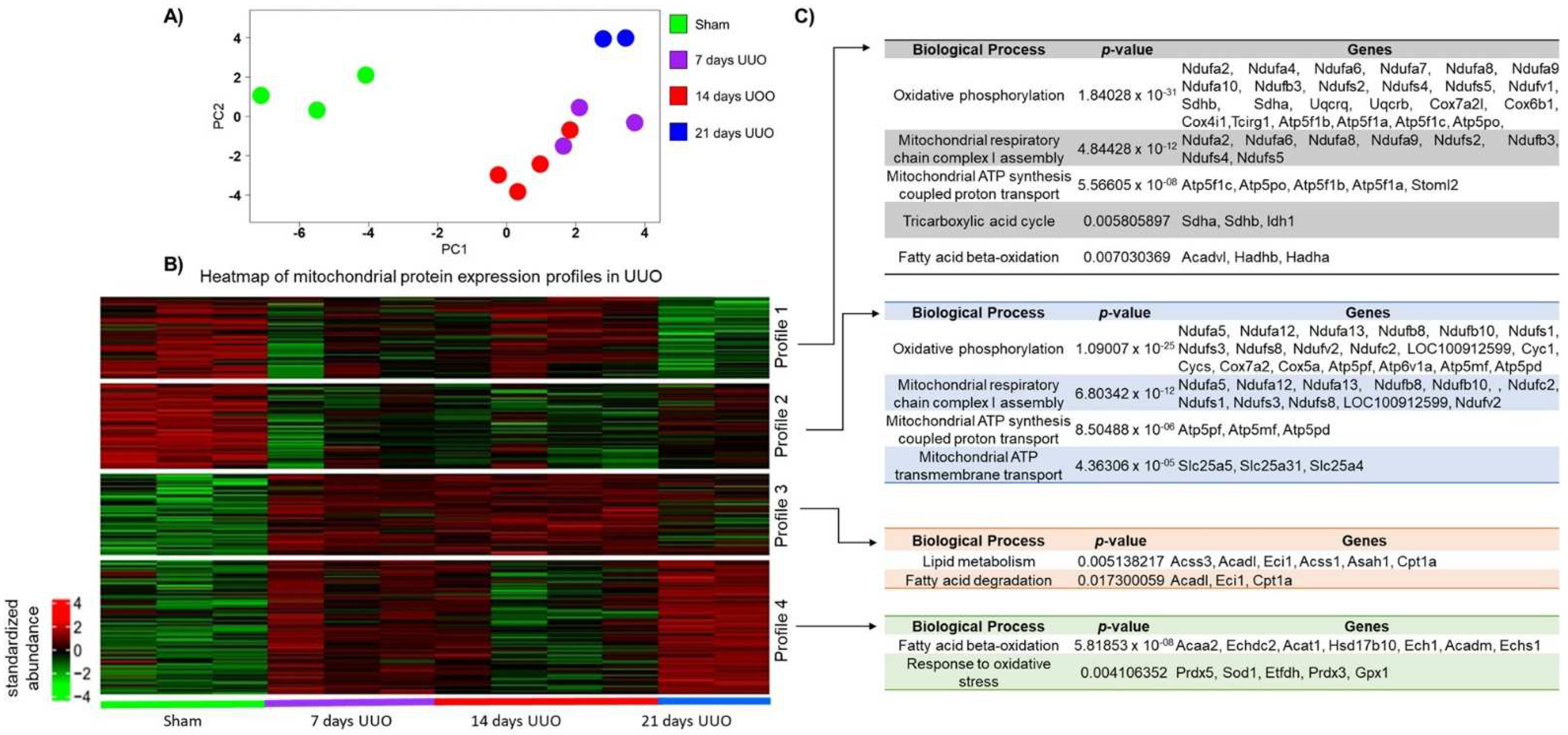 Metabolites 12 00936 g002