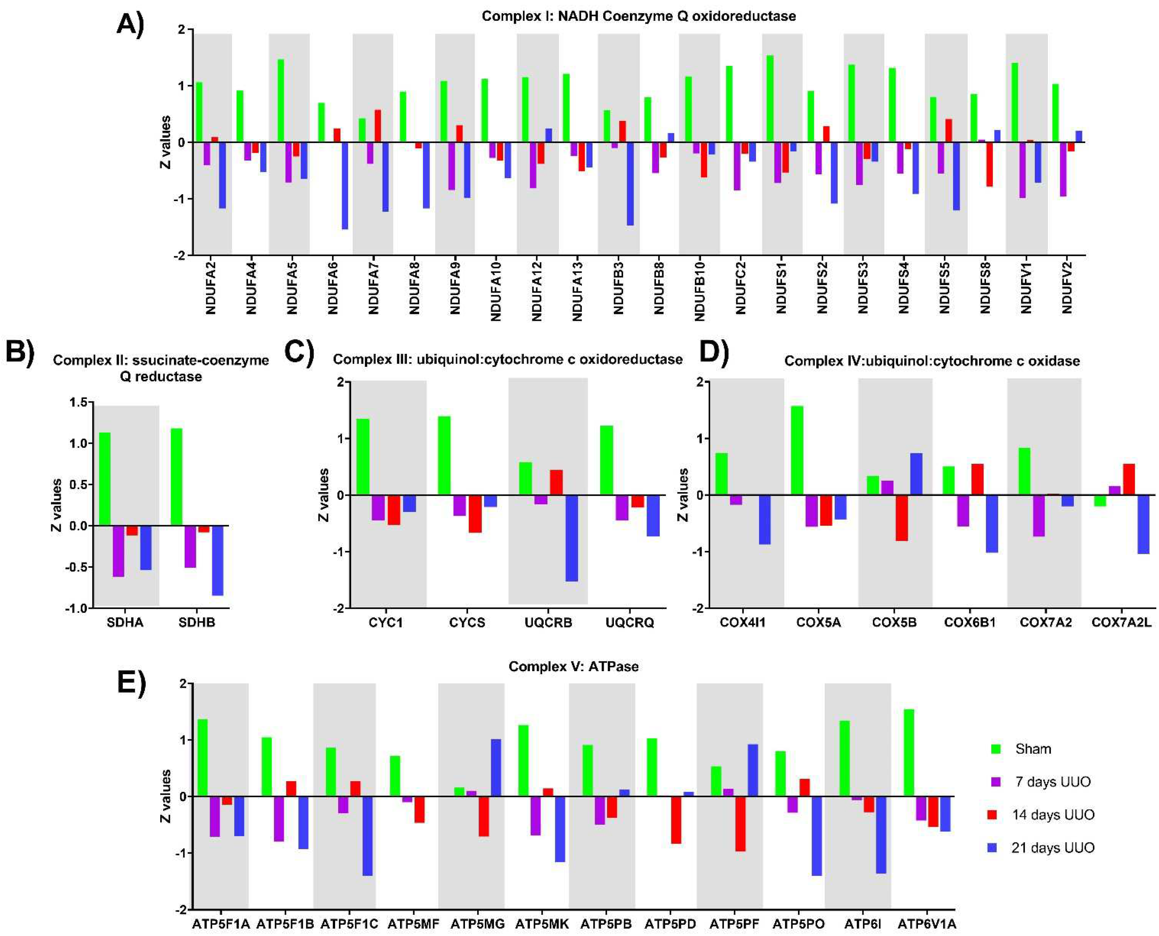 Metabolites 12 00936 g003