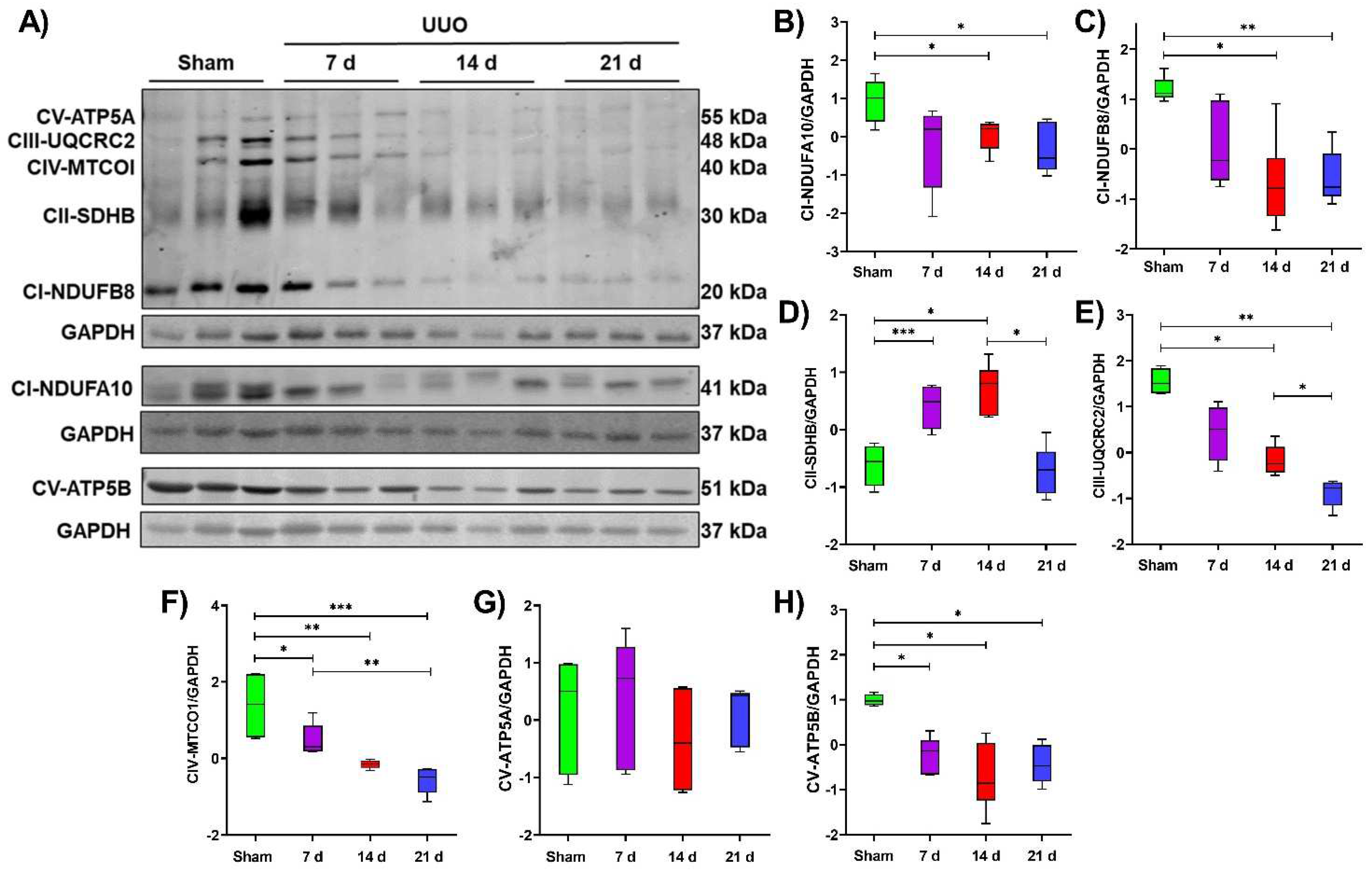 Metabolites 12 00936 g004