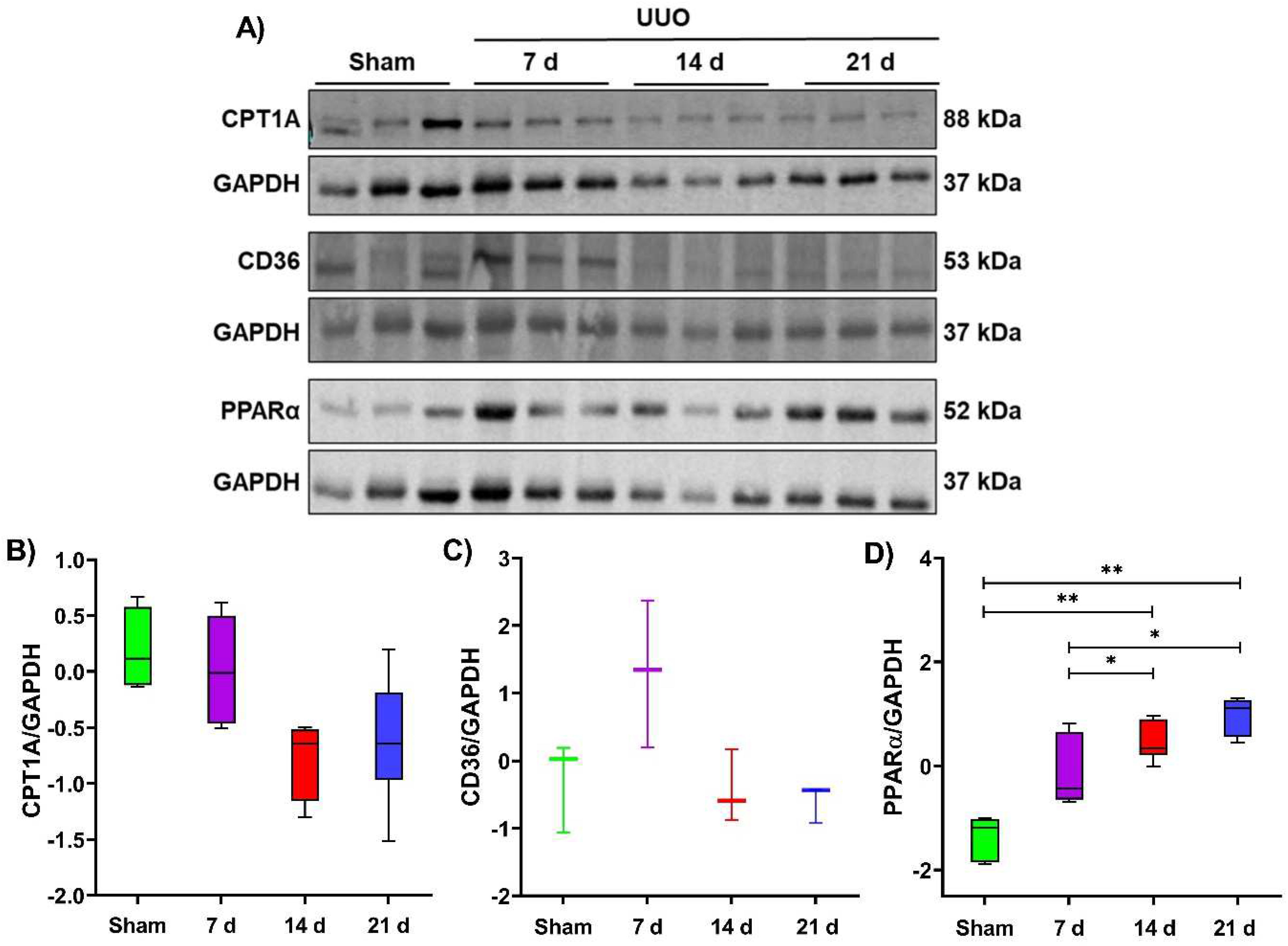 Metabolites 12 00936 g005
