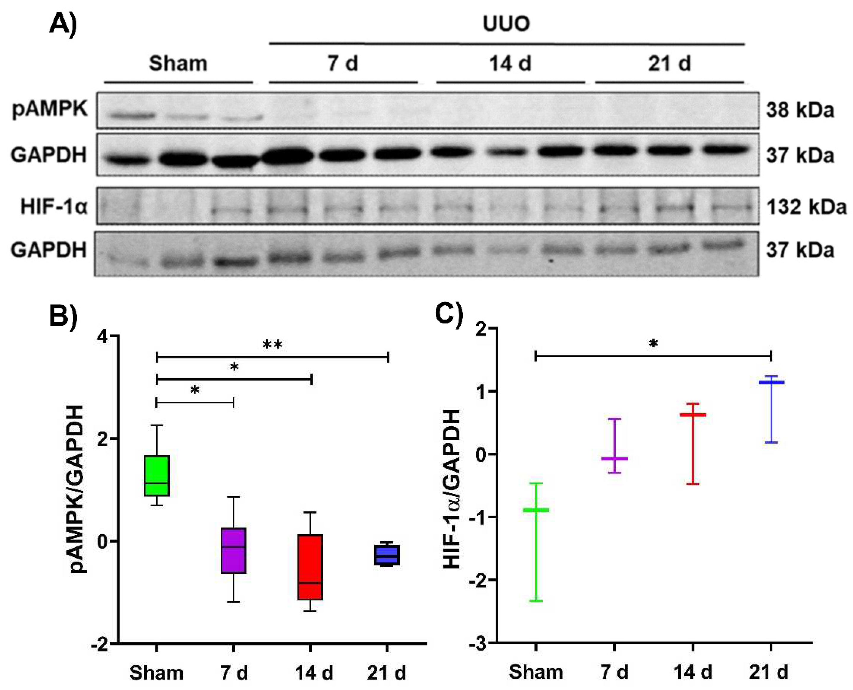 Metabolites 12 00936 g006