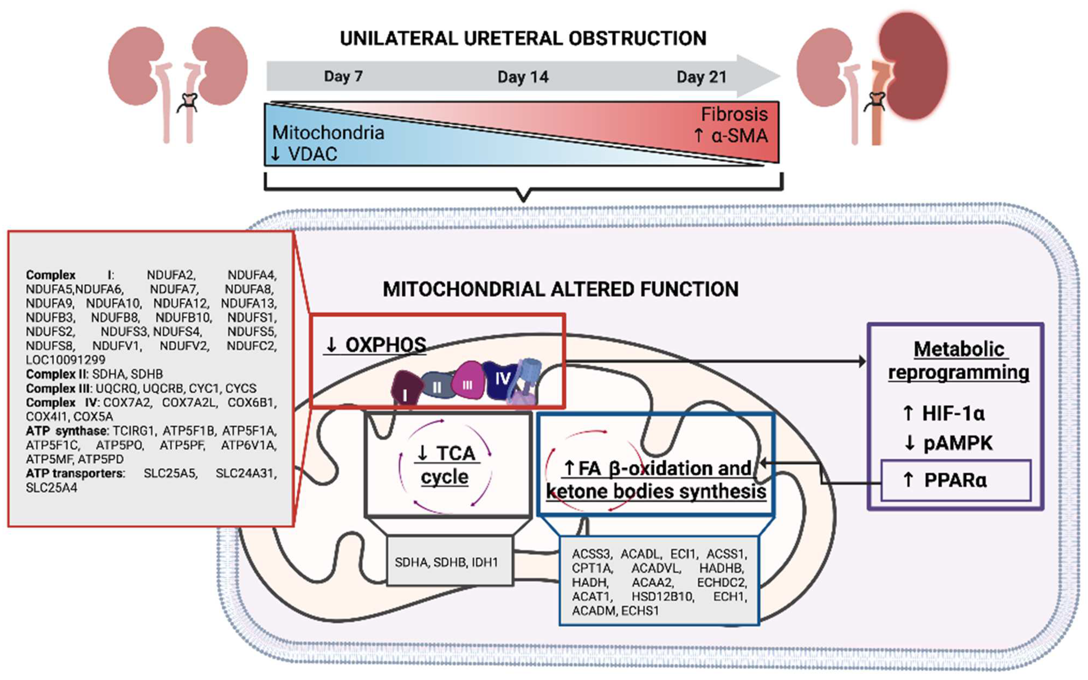 Metabolites 12 00936 g007