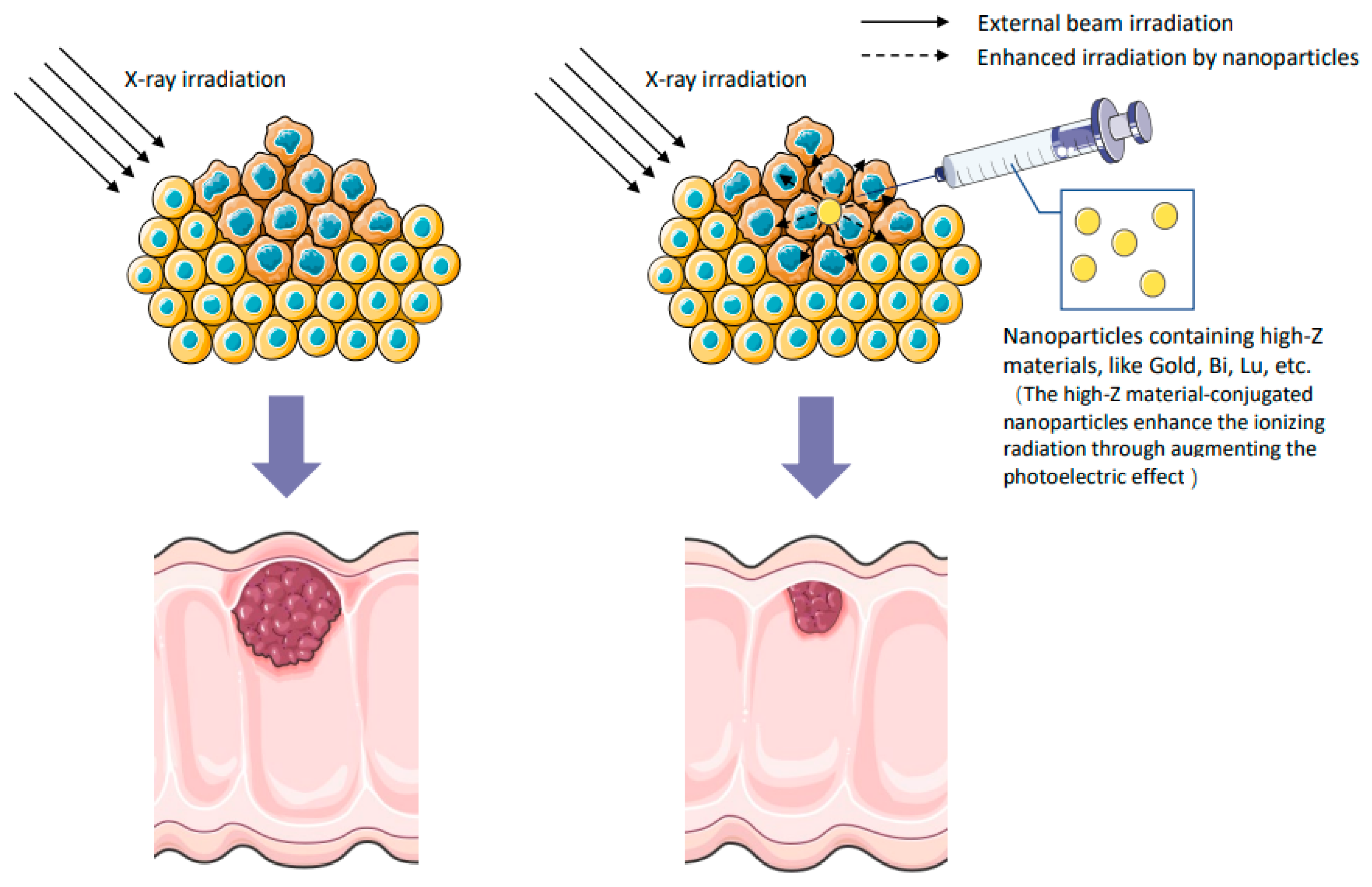 Metabolites 12 00943 g001