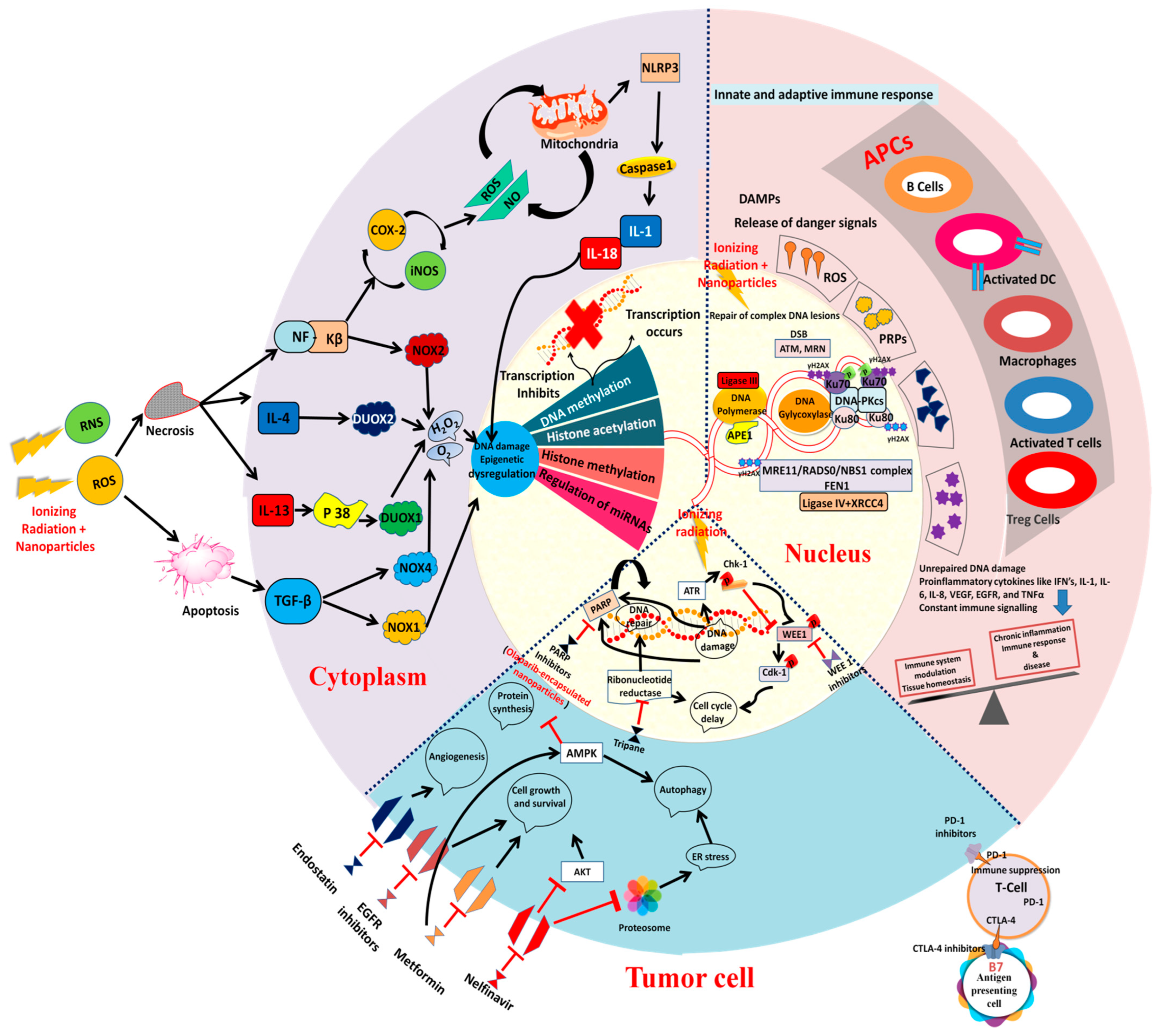 Metabolites 12 00943 g003
