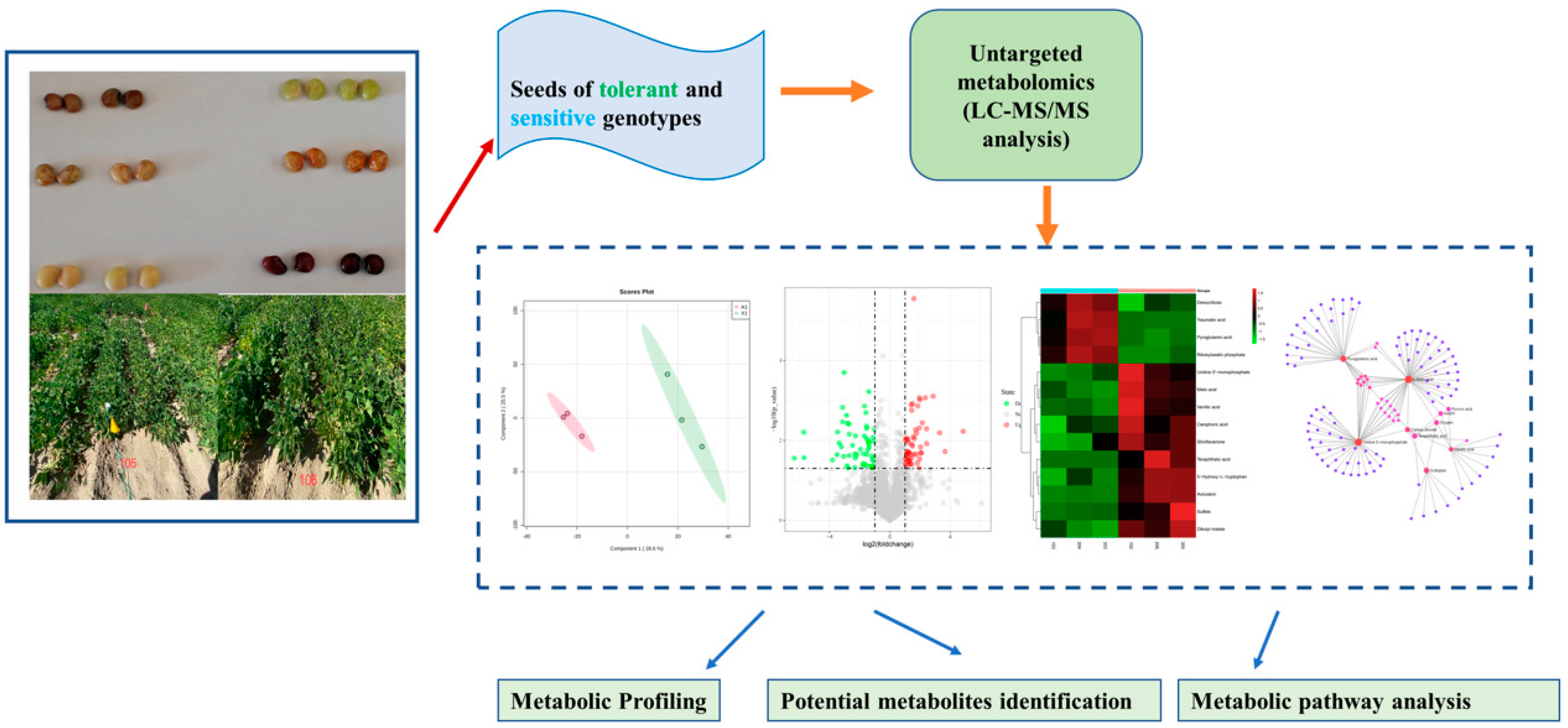 Metabolites 12 00944 g001 Metabolites 12 00944 g001