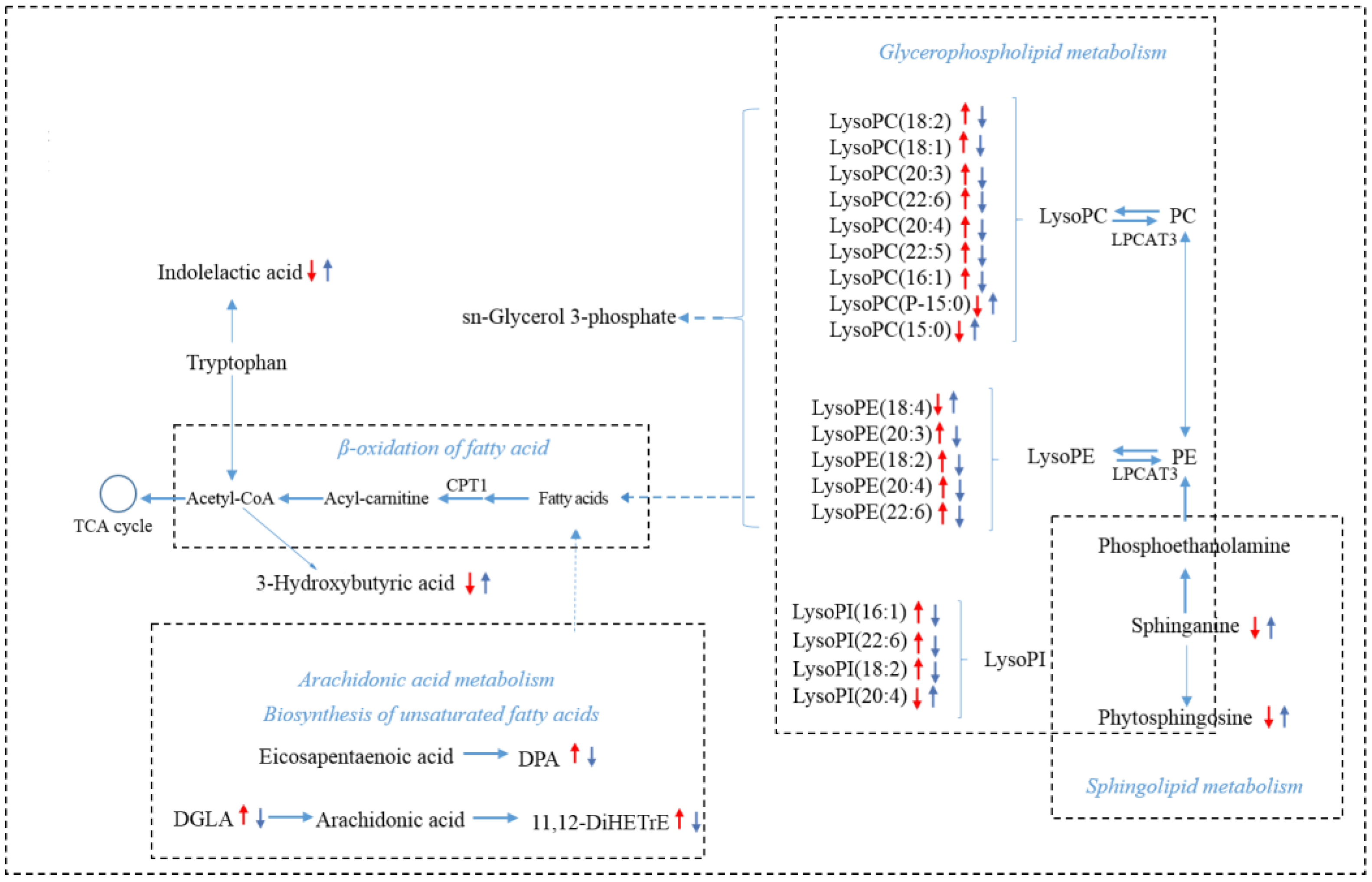 Metabolites 12 00946 g008