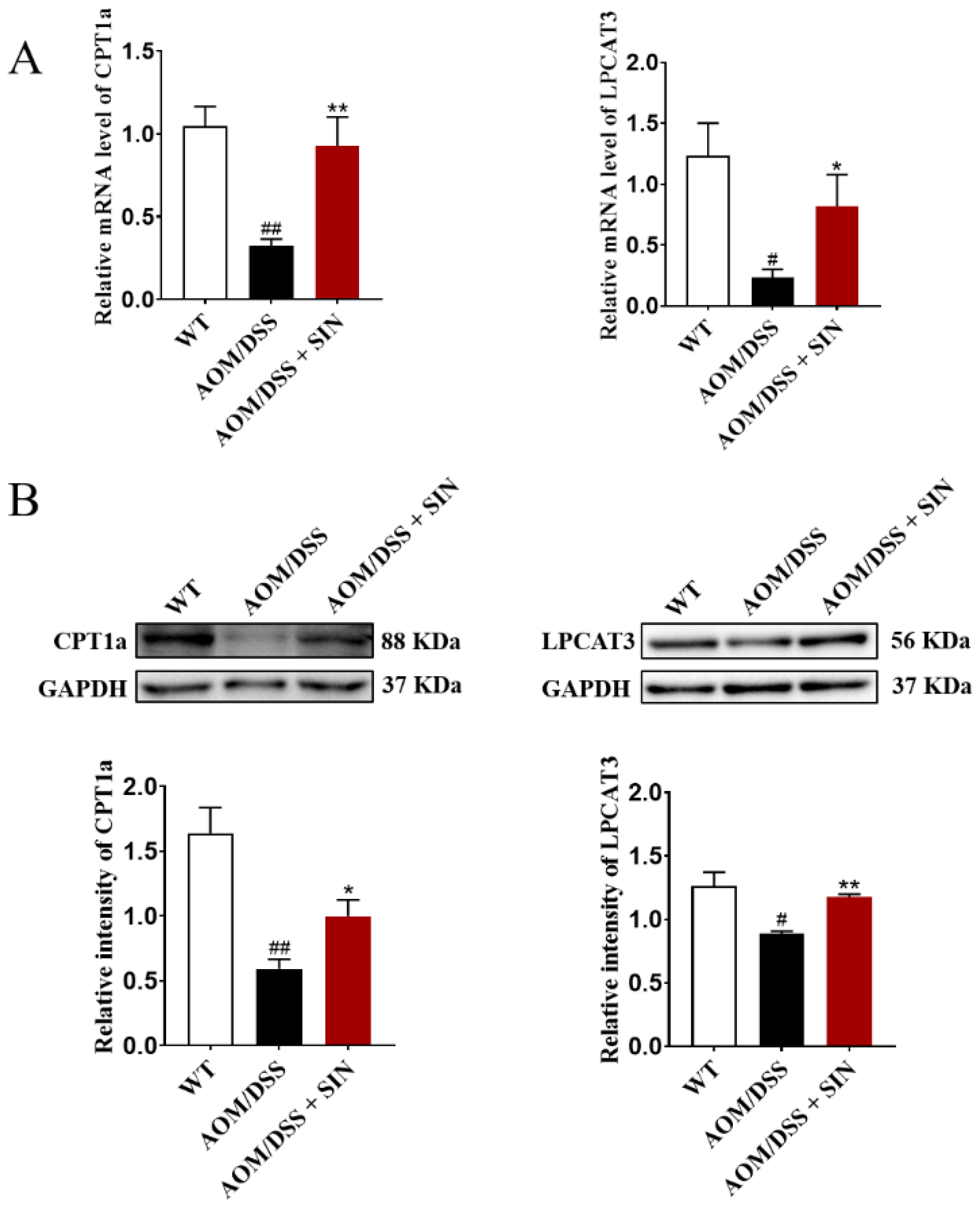 Metabolites 12 00946 g009