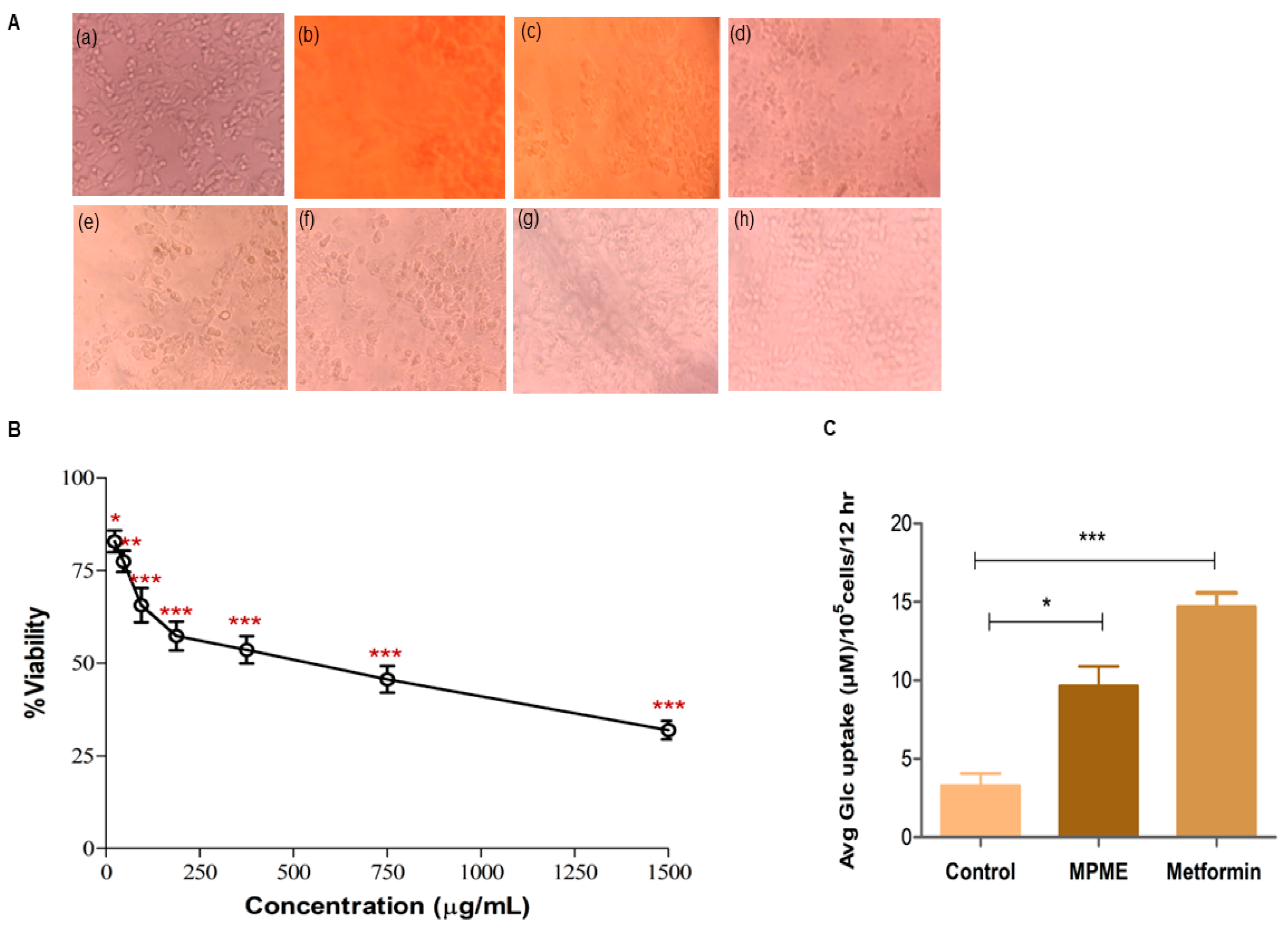 Metabolites 12 00947 g002