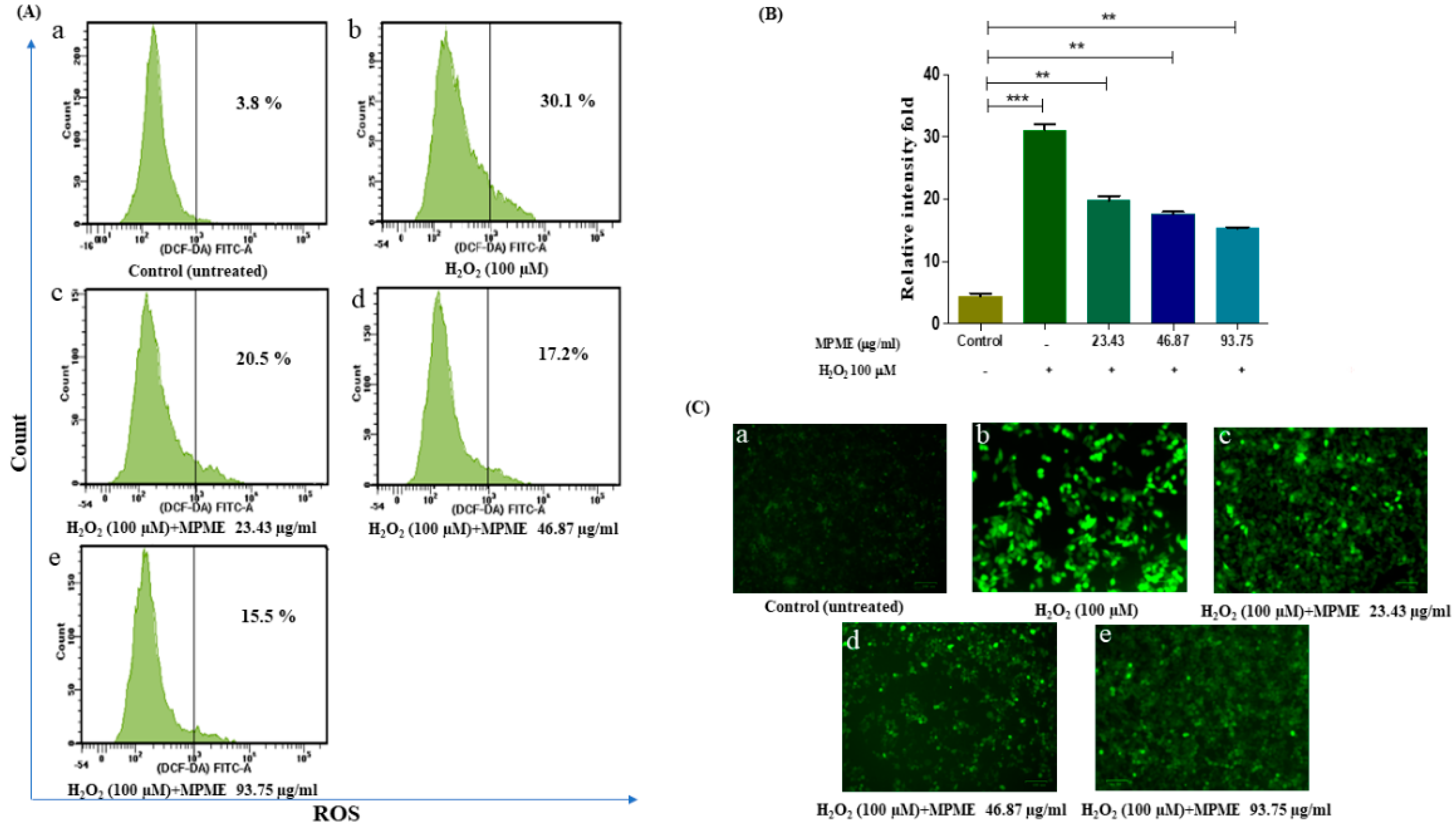 Metabolites 12 00947 g003