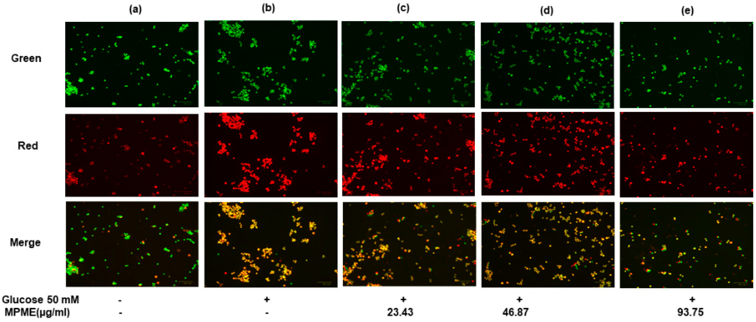 Metabolites 12 00947 g004