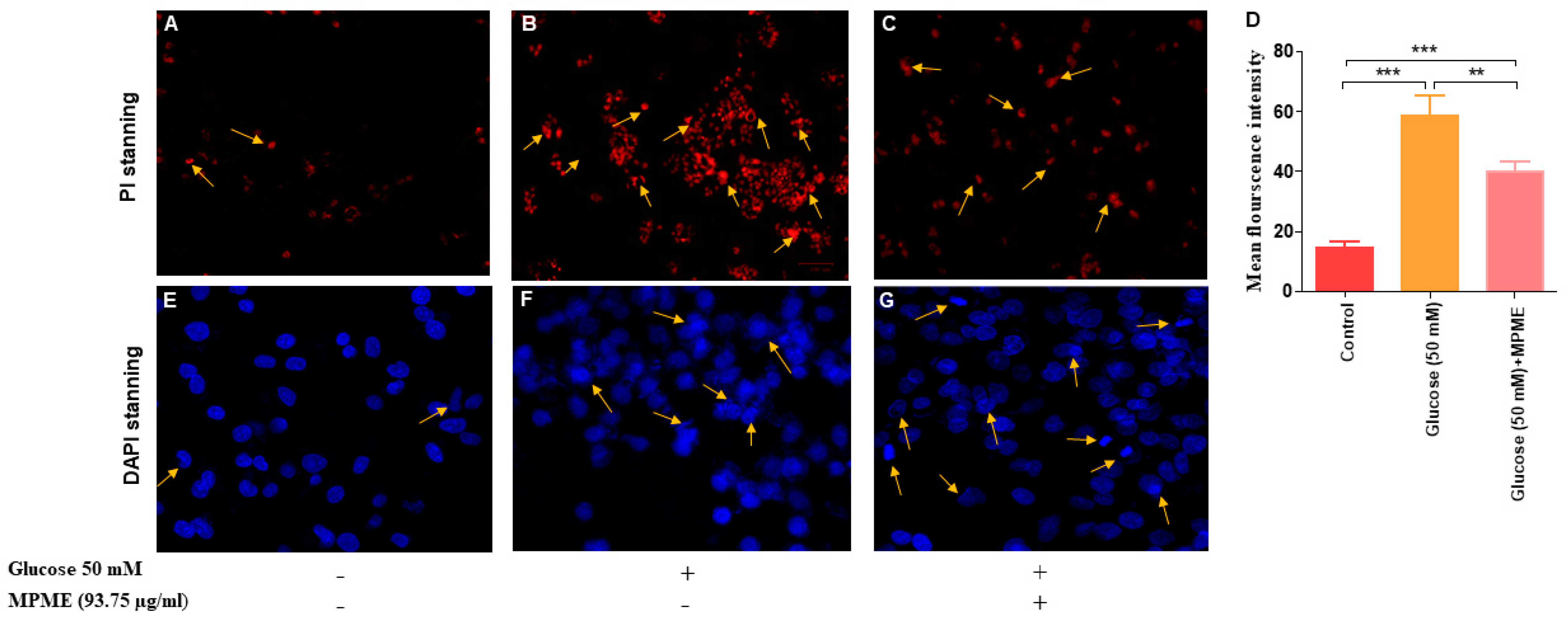 Metabolites 12 00947 g005