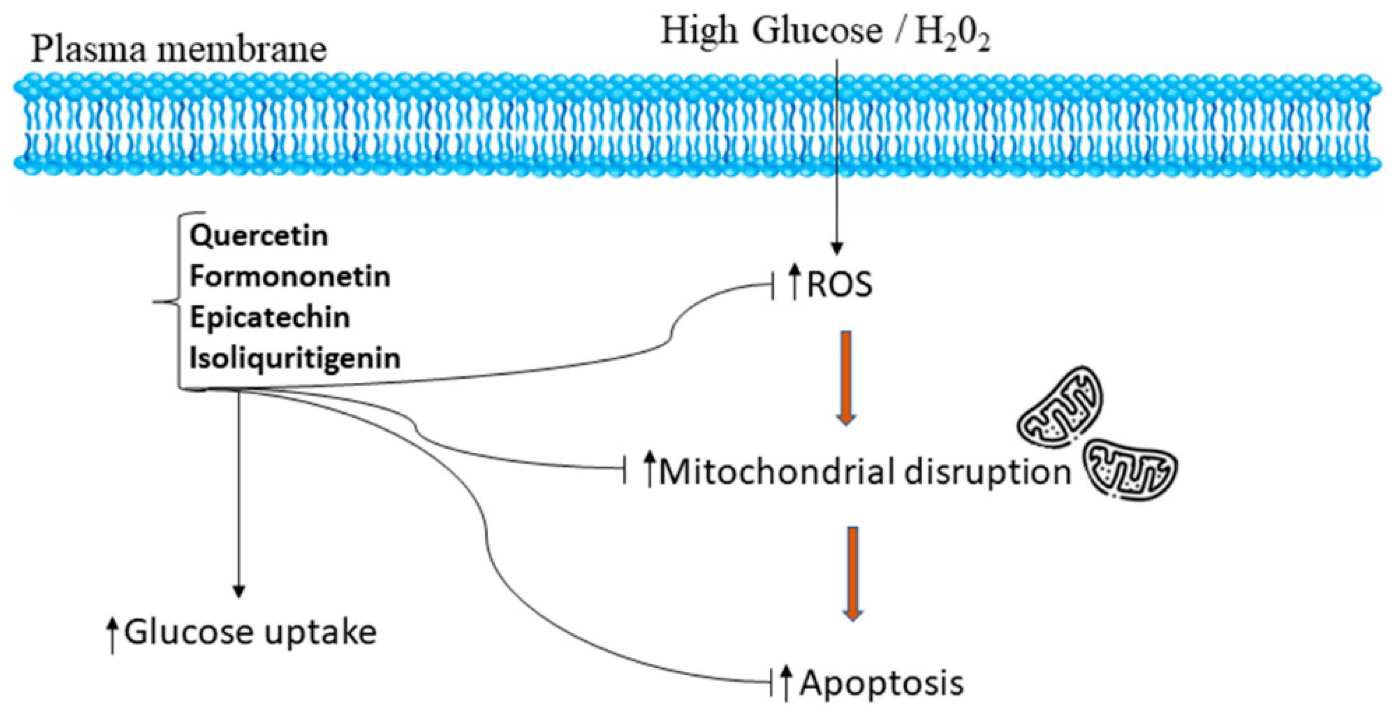Metabolites 12 00947 g006