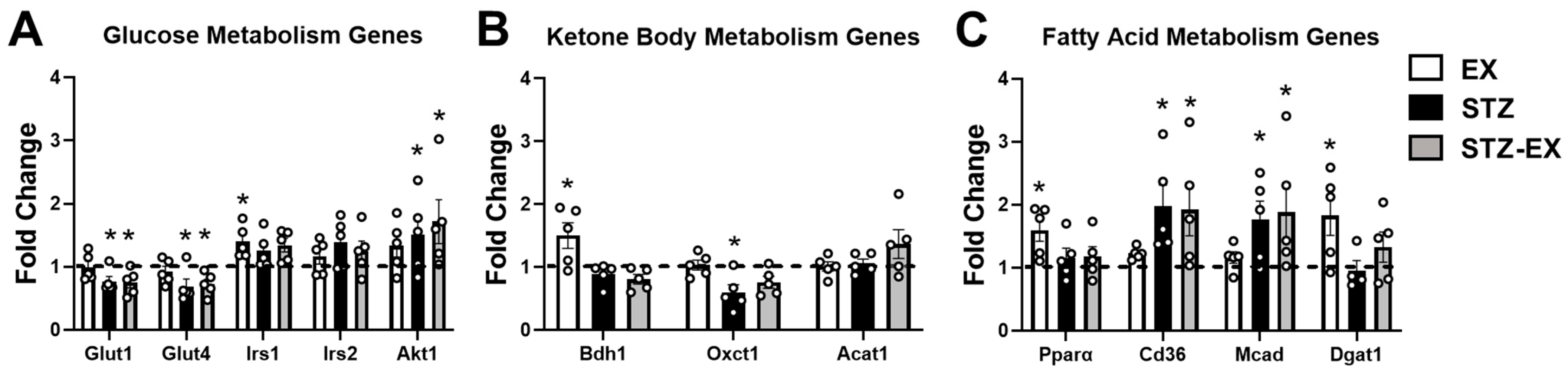 Metabolites 12 00948 g006