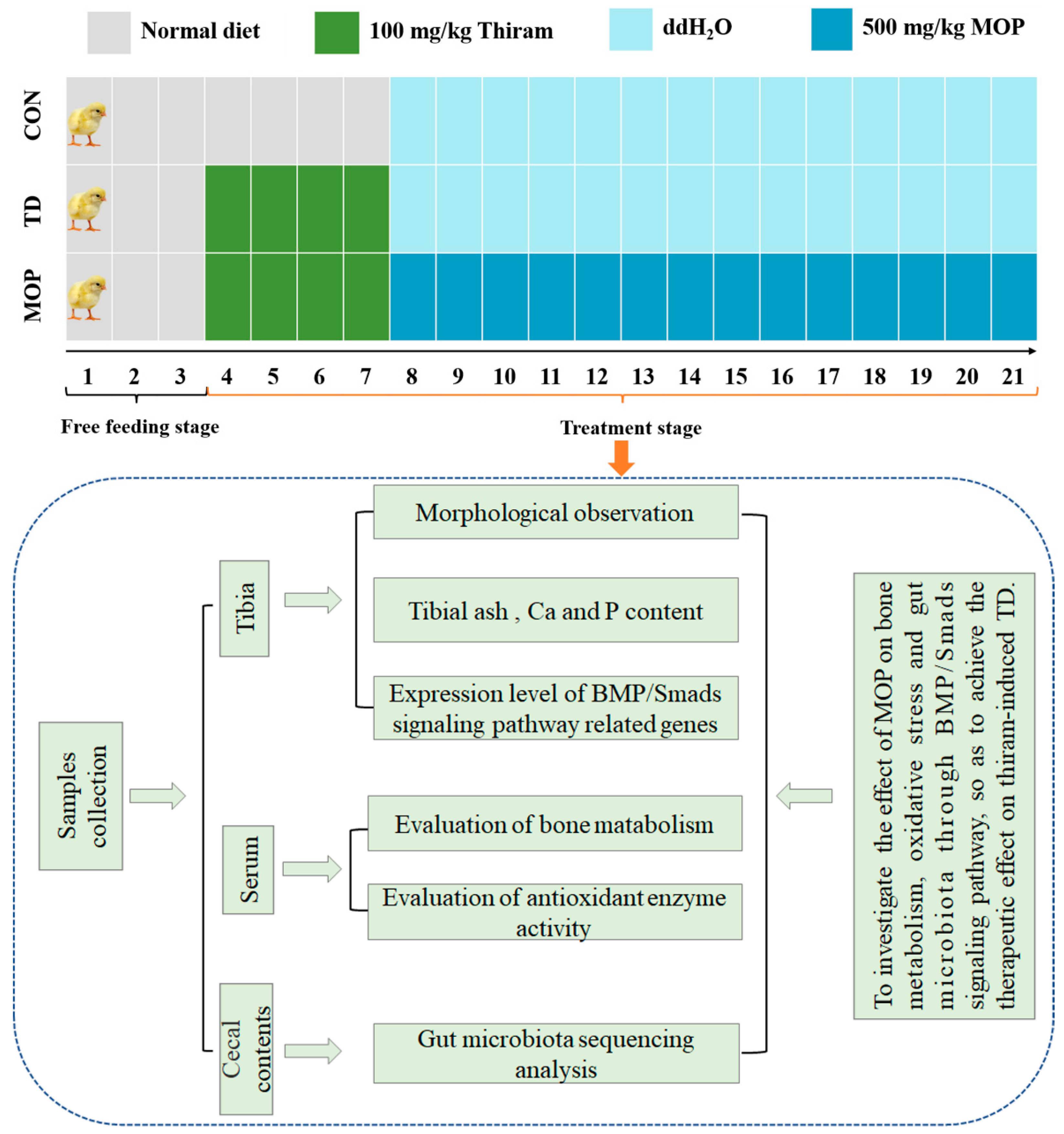 Metabolites 12 00958 g001