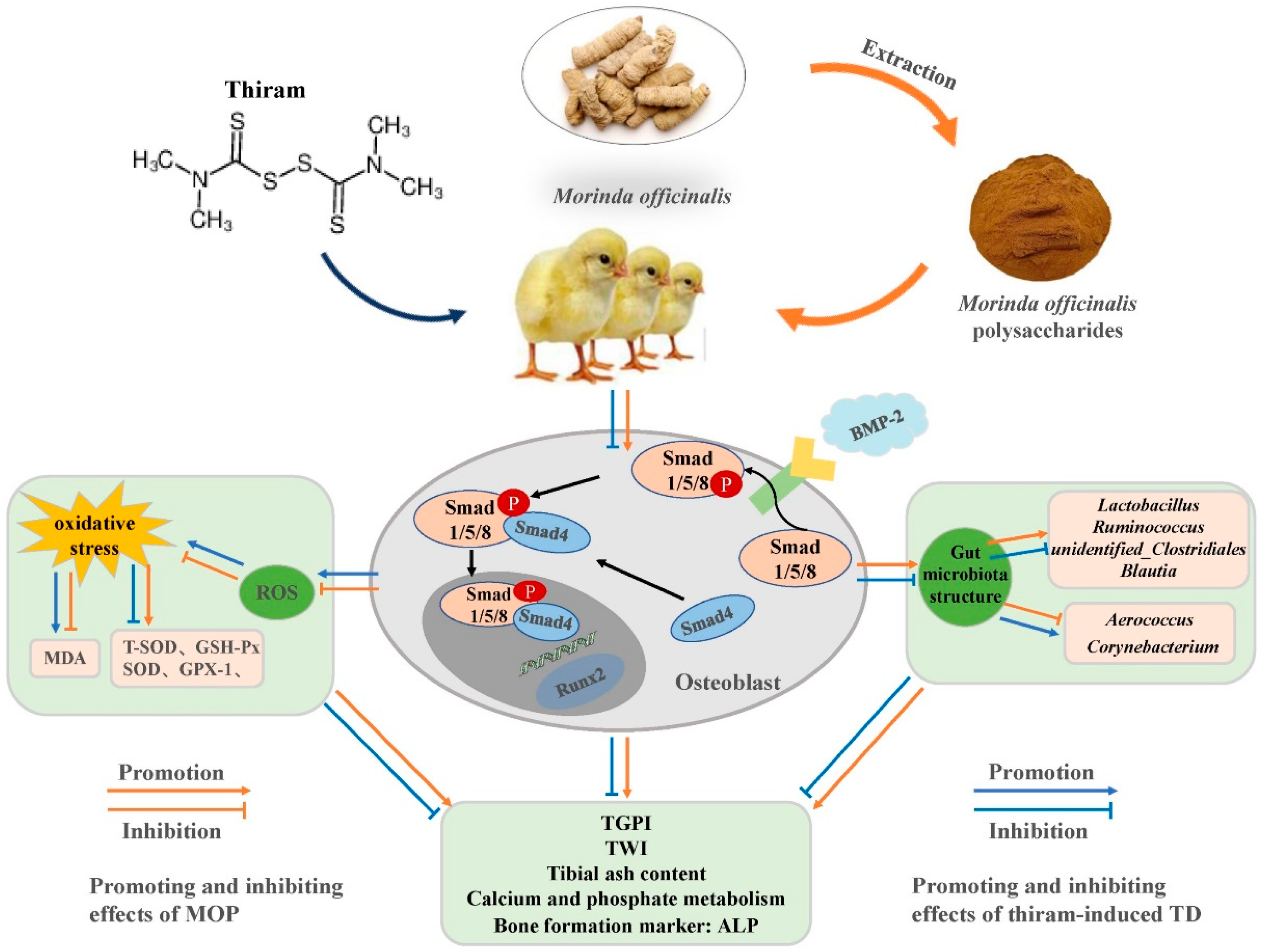 Metabolites 12 00958 g007