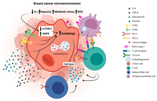 Metabolites 12 00966 g001