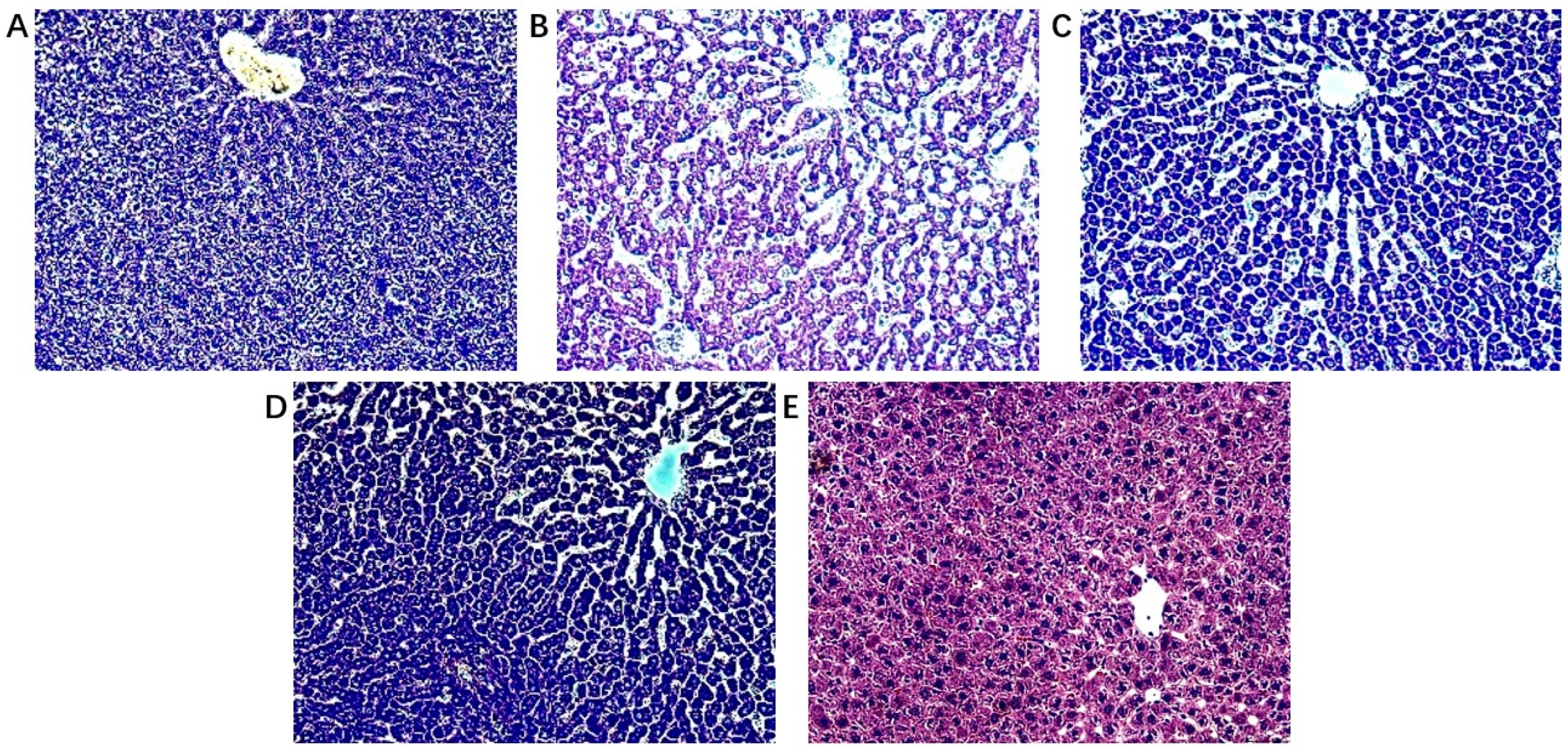 Metabolites 12 00981 g002