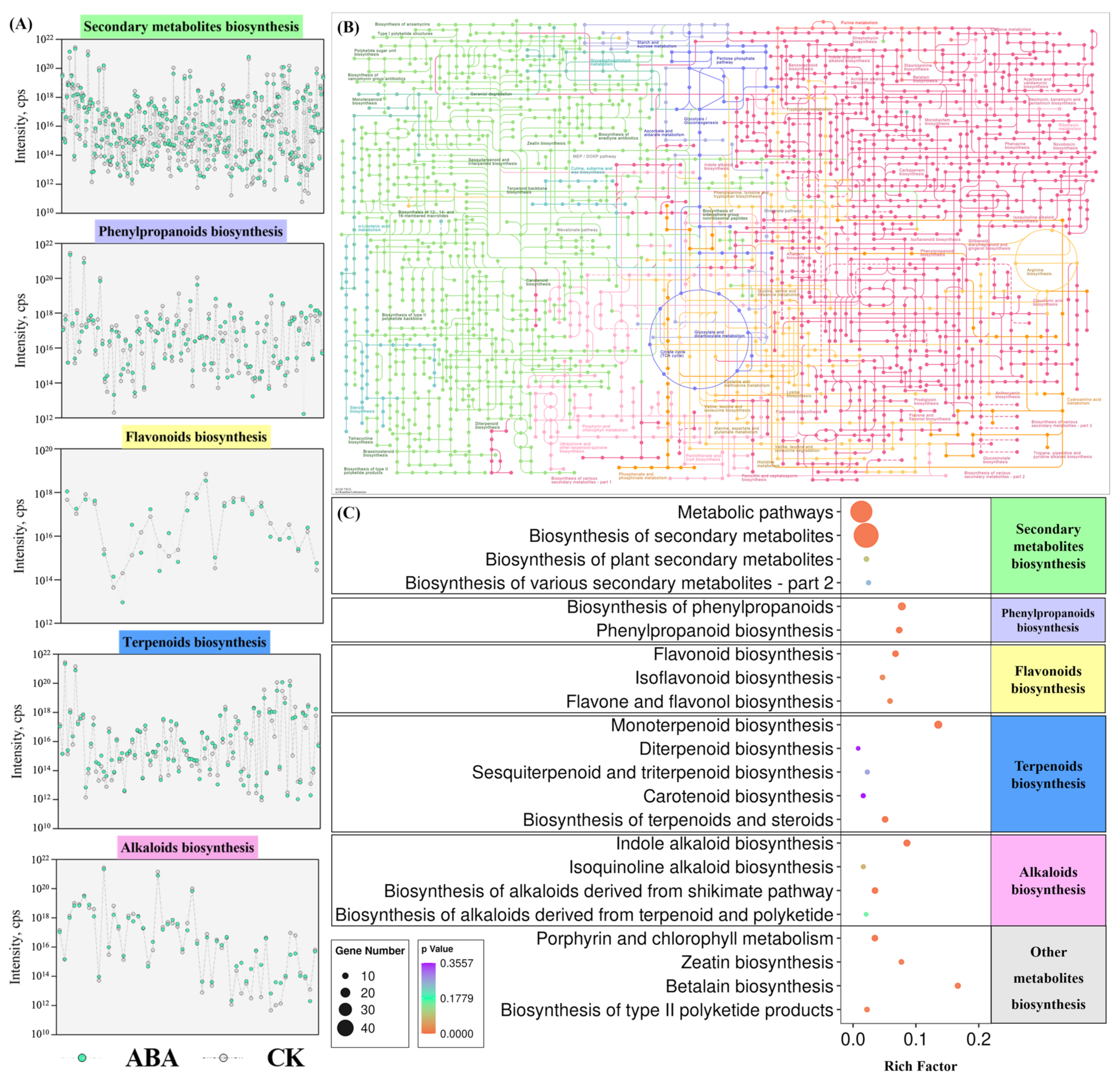 Metabolites 12 00984 g007