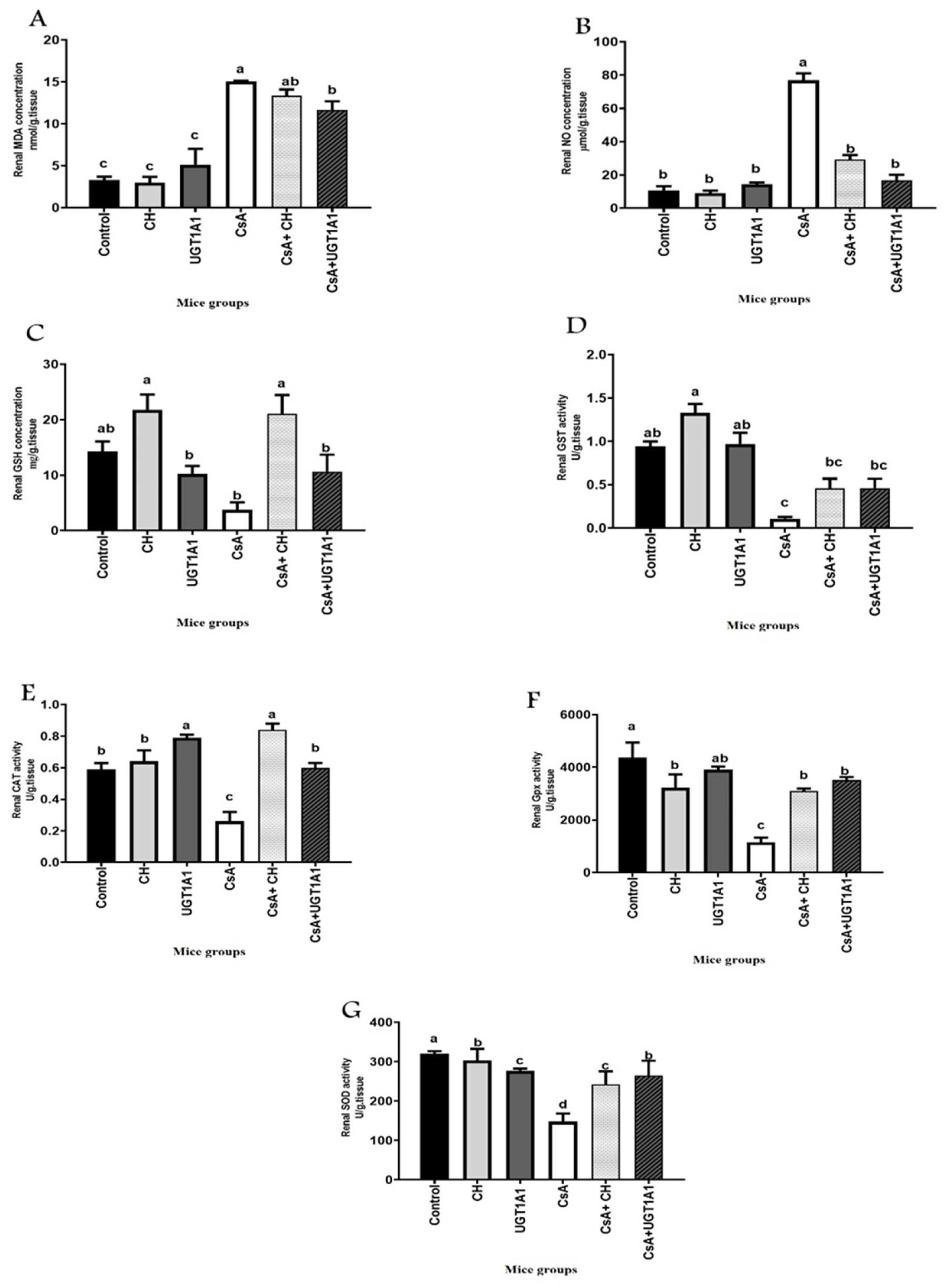 Metabolites 12 00999 g003