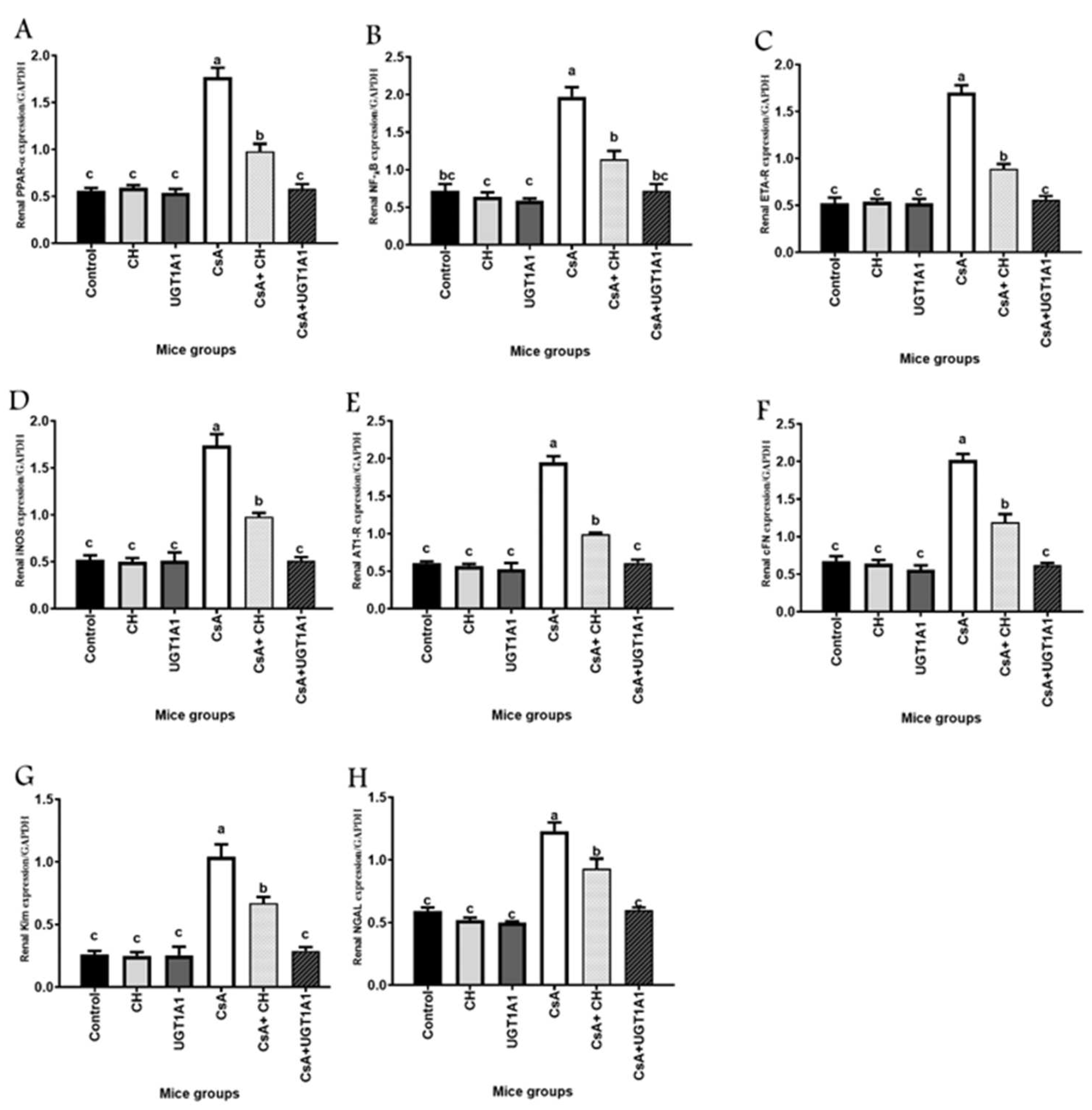 Metabolites 12 00999 g004