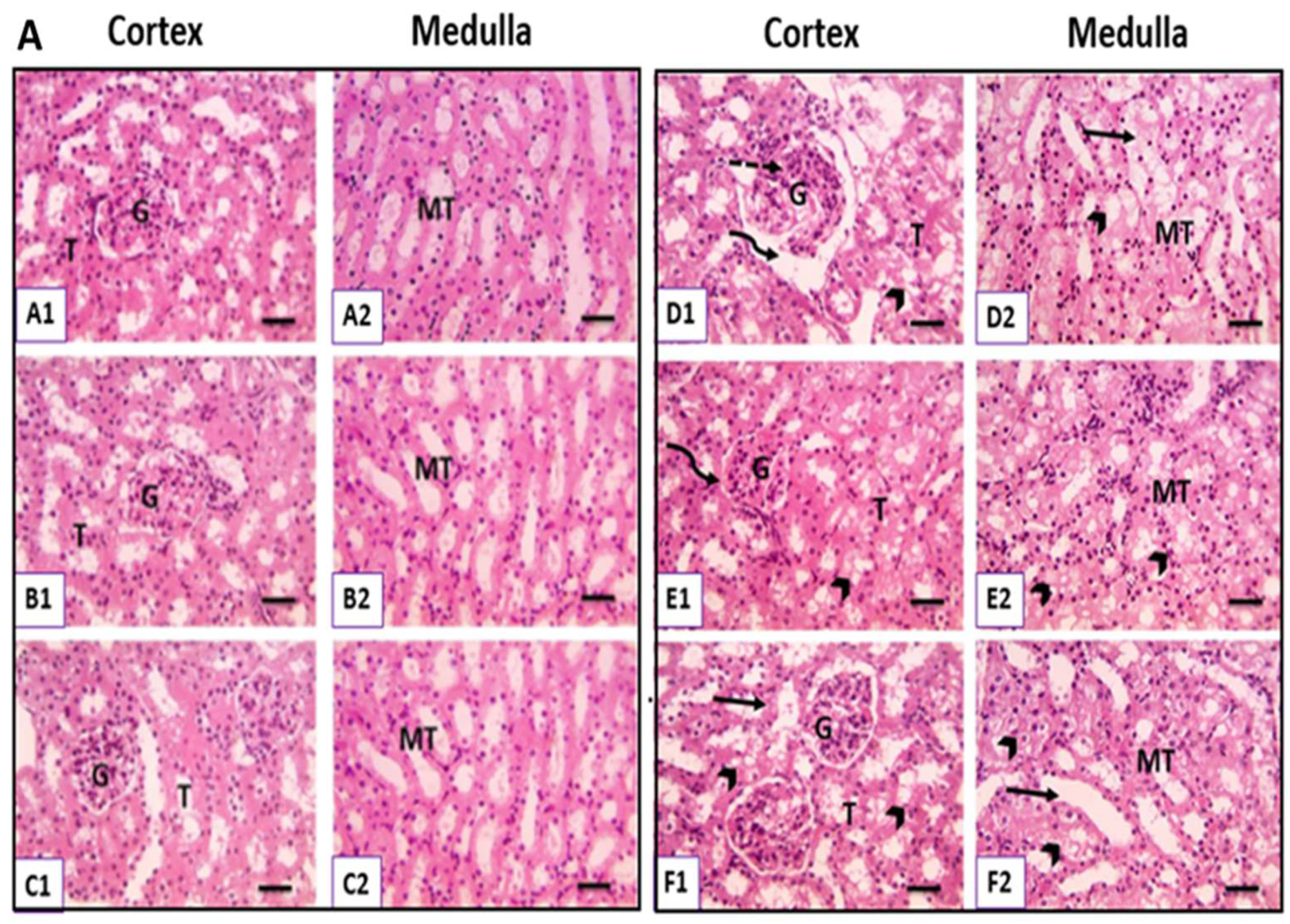 Metabolites 12 00999 g005a