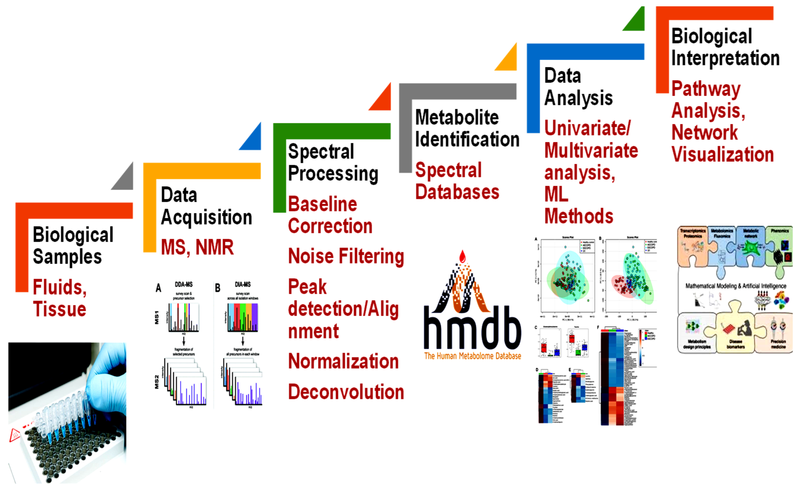 Metabolites 12 01002 g001