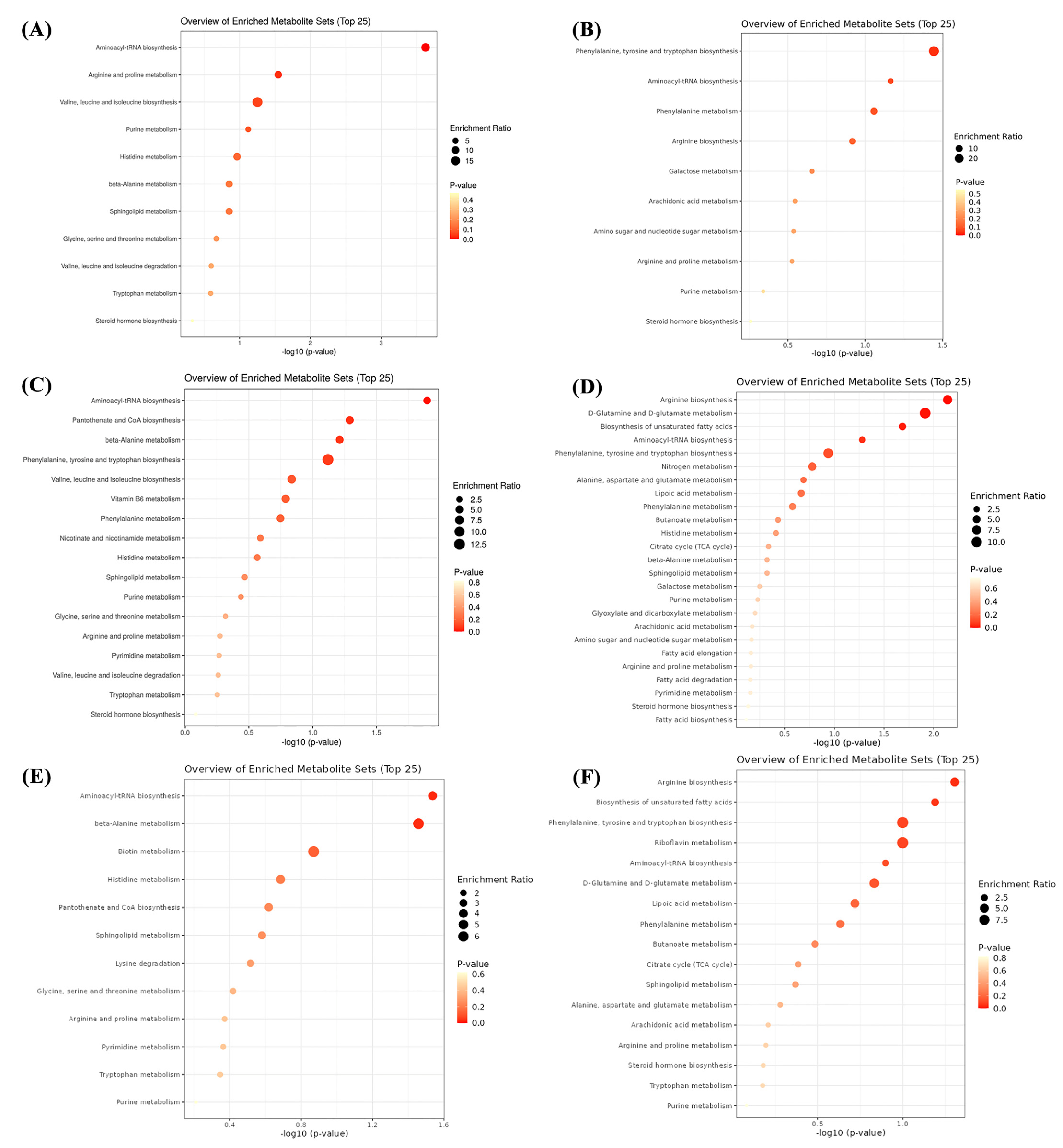 Metabolites 12 01003 g006