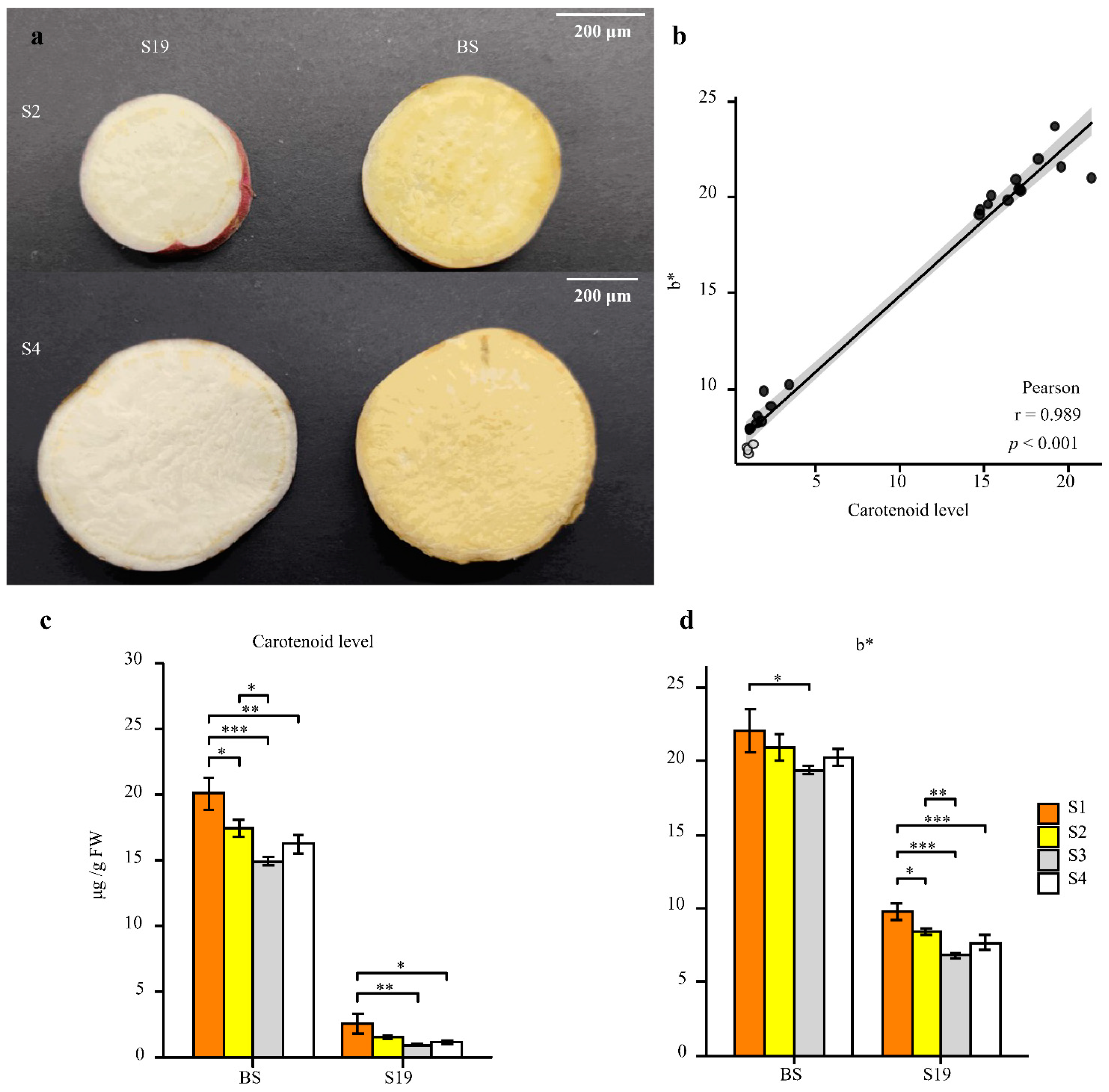 Metabolites 12 01010 g001